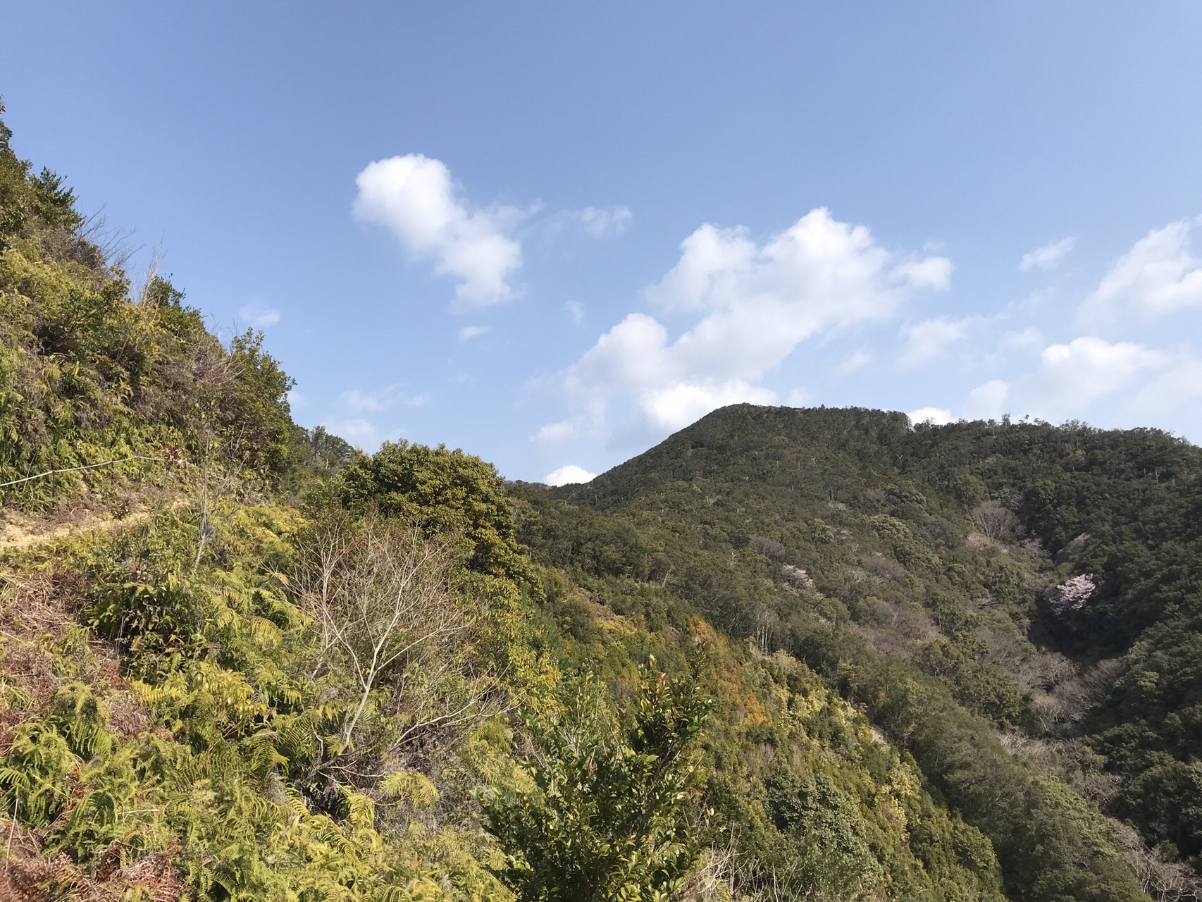 風吹山 和歌山県串本町 Kei5さんの古座川 三尾川橋 古座橋 の活動日記 Yamap ヤマップ