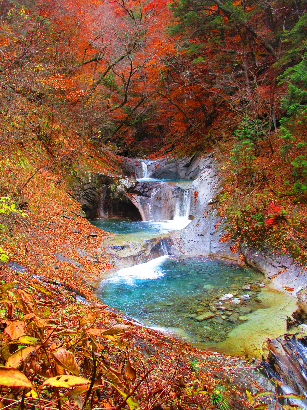 西沢渓谷 紅葉まだあるかな の巻 たかぴょんさんの乾徳山 黒金山の活動データ Yamap ヤマップ