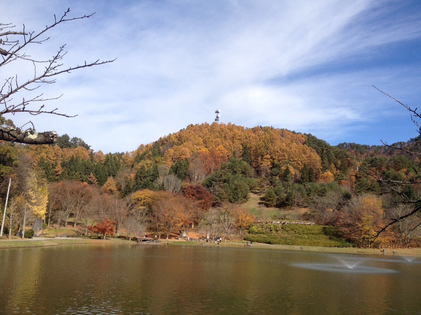 東根市 堂ノ前公園から展望台へ しゅんちさんの甑岳 山形県村山市 の活動データ Yamap ヤマップ