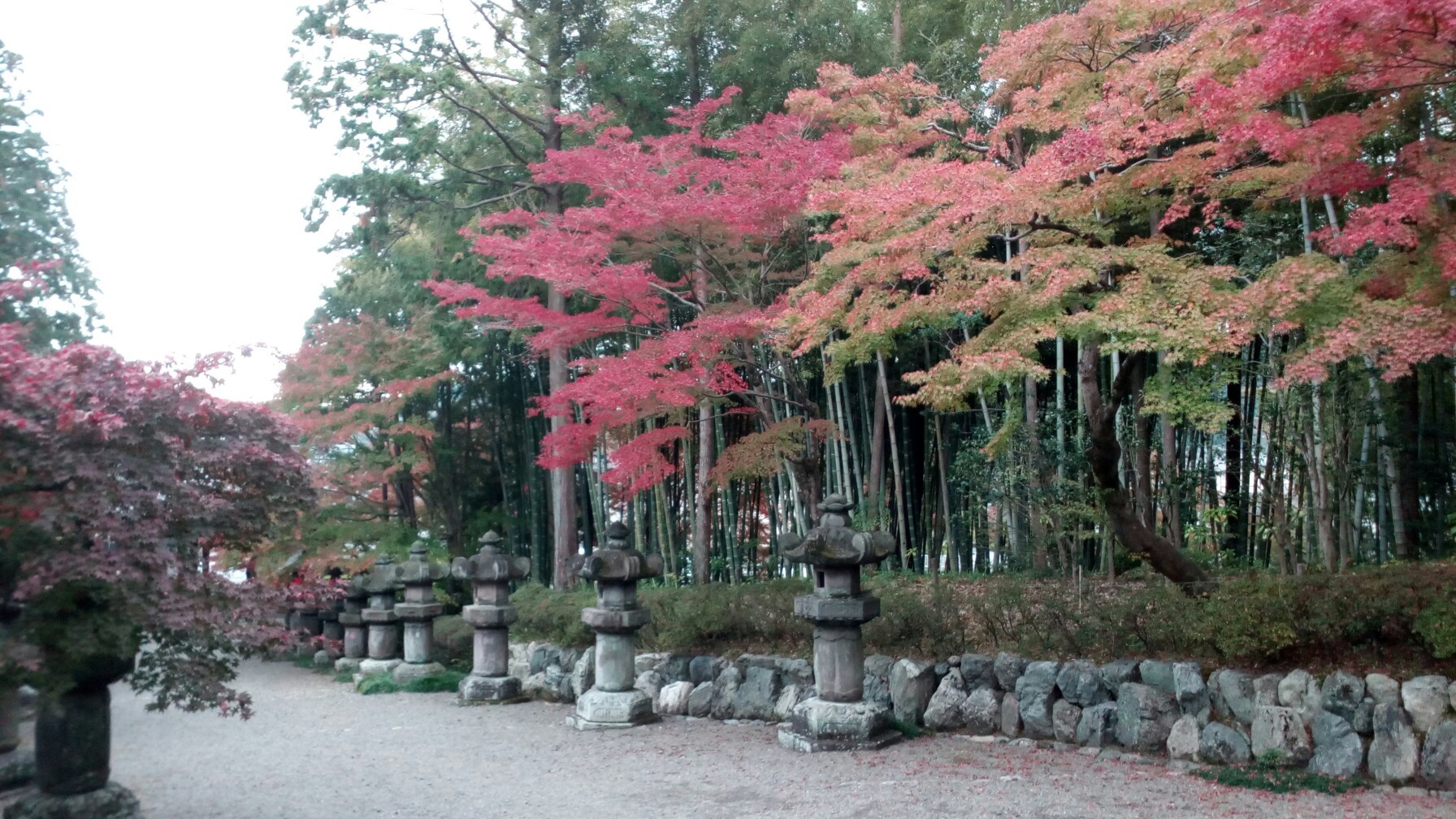 紅葉の展覧山 多峯主山 吾妻峡 飯能河原 Micioさんの天覧山 多峯主山 天覚山の活動データ Yamap ヤマップ