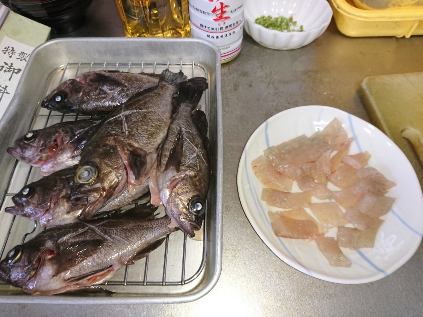 師崎でメバル釣り 釣り馬鹿さんの知多半島 任坊山 本宮山 鍋山 の活動日記 Yamap ヤマップ