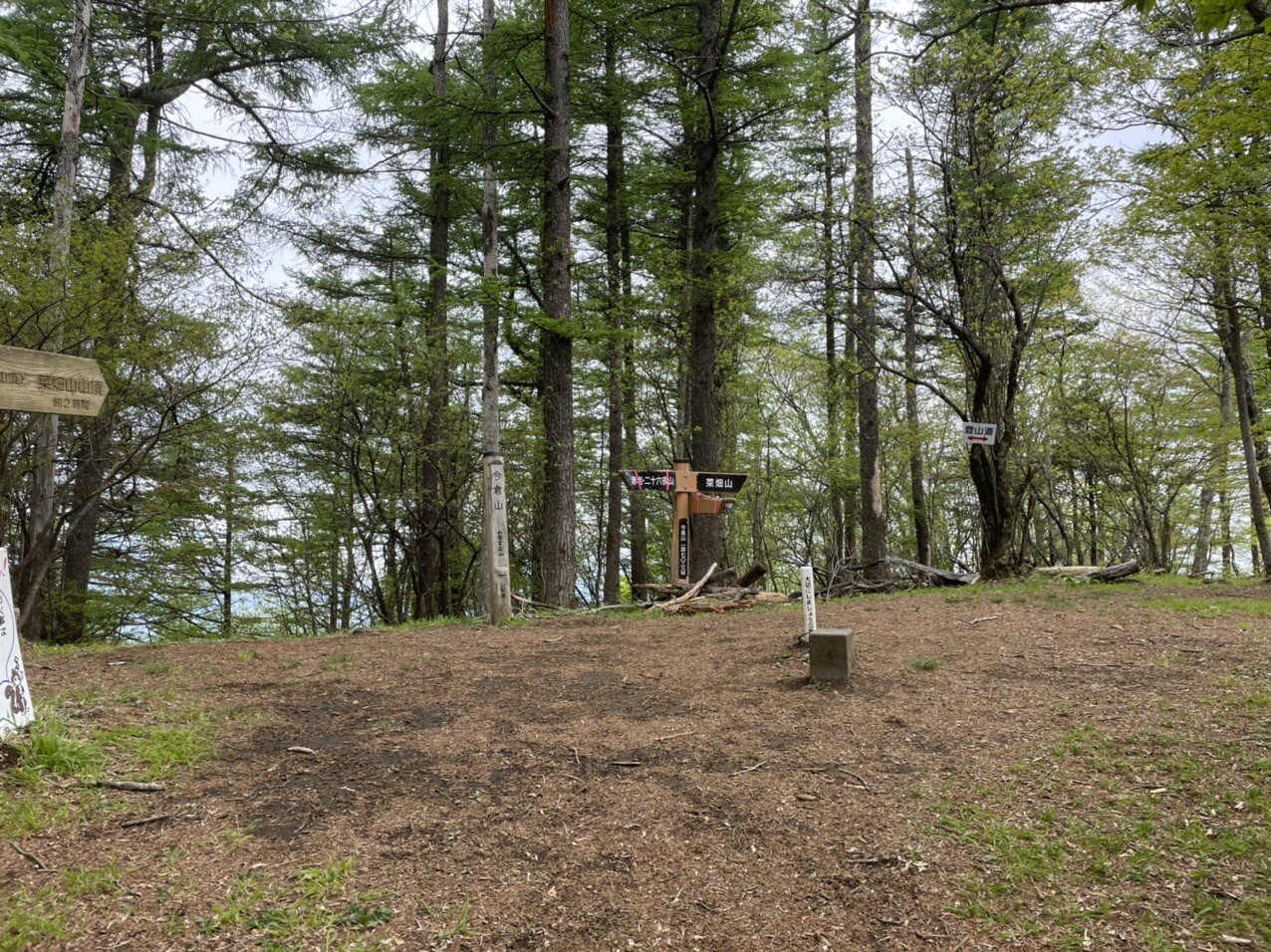 今倉山（東峰）の最新登山情報 / 人気の登山ルート、写真、天気