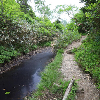 池が道の横にある