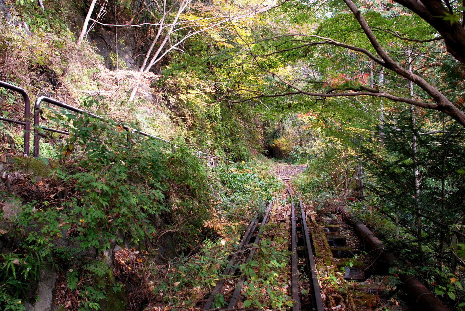 東京都水道局小河内線 水根貨物線 跡 奥多摩古道廃キング 川苔山 川乗山 の写真60枚目 第一弁天橋梁で むかし道と交差します こ Yamap ヤマップ