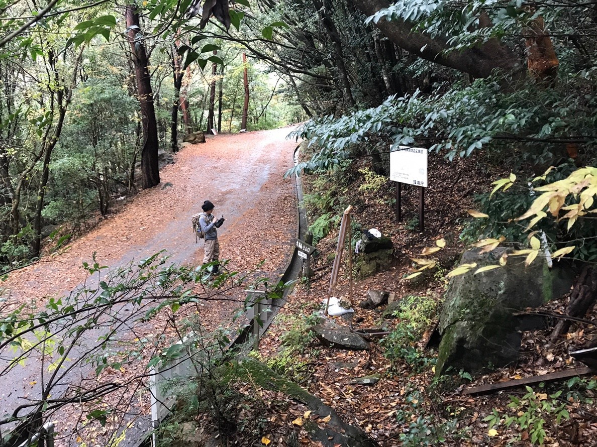 危険と癒しの岩峰へ 九州最難関の大崩山に登る 亀井タカシさんの大崩山 五葉岳 新百姓山の活動日記 Yamap ヤマップ
