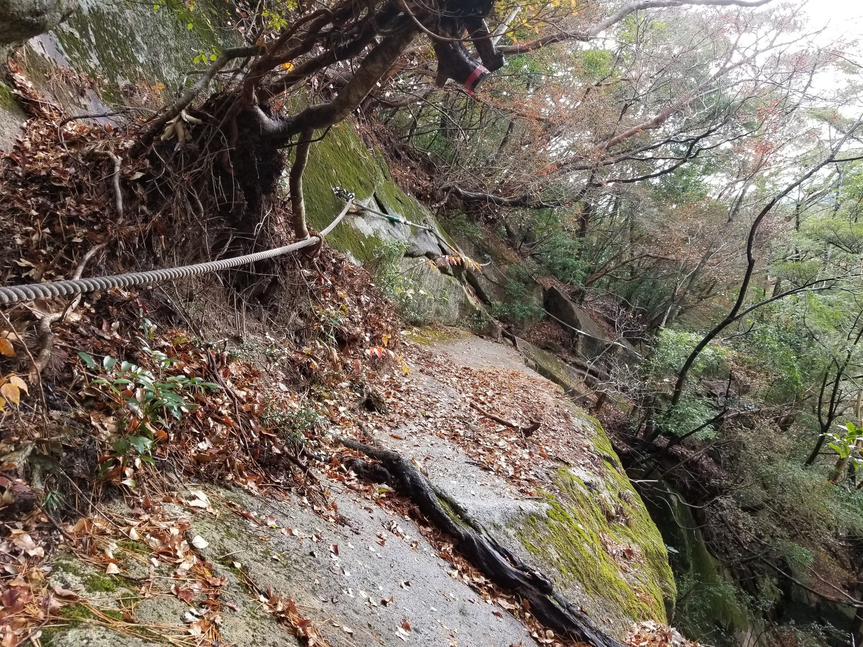危険と癒しの岩峰へ 九州最難関の大崩山に登る 亀井タカシさんの大崩山 五葉岳 新百姓山の活動日記 Yamap ヤマップ
