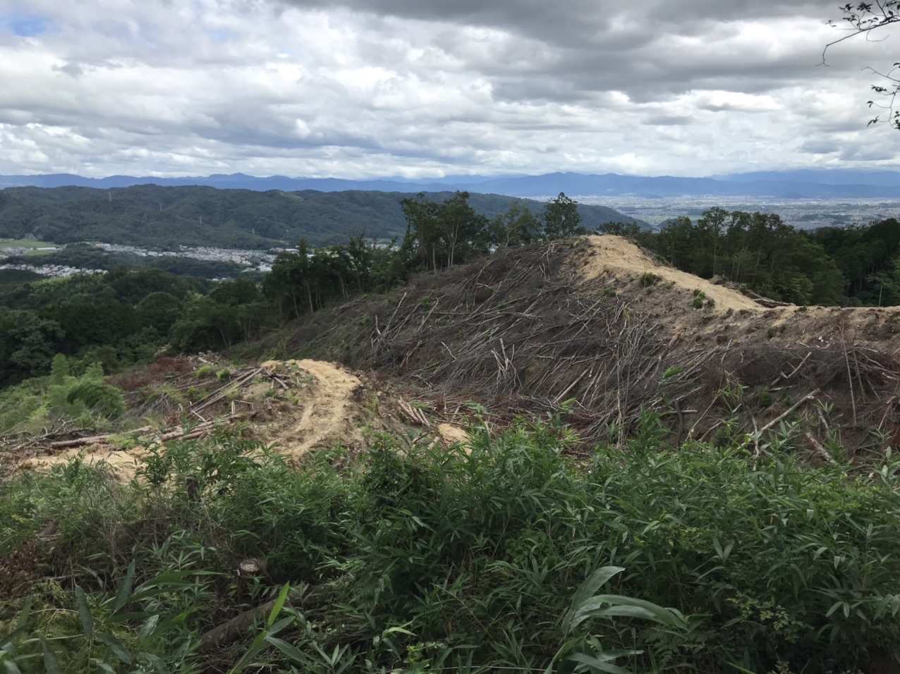 生駒山・神津嶽・大原山 南東方向。この辺も伐採が進み、見晴らしがよくなっています。
