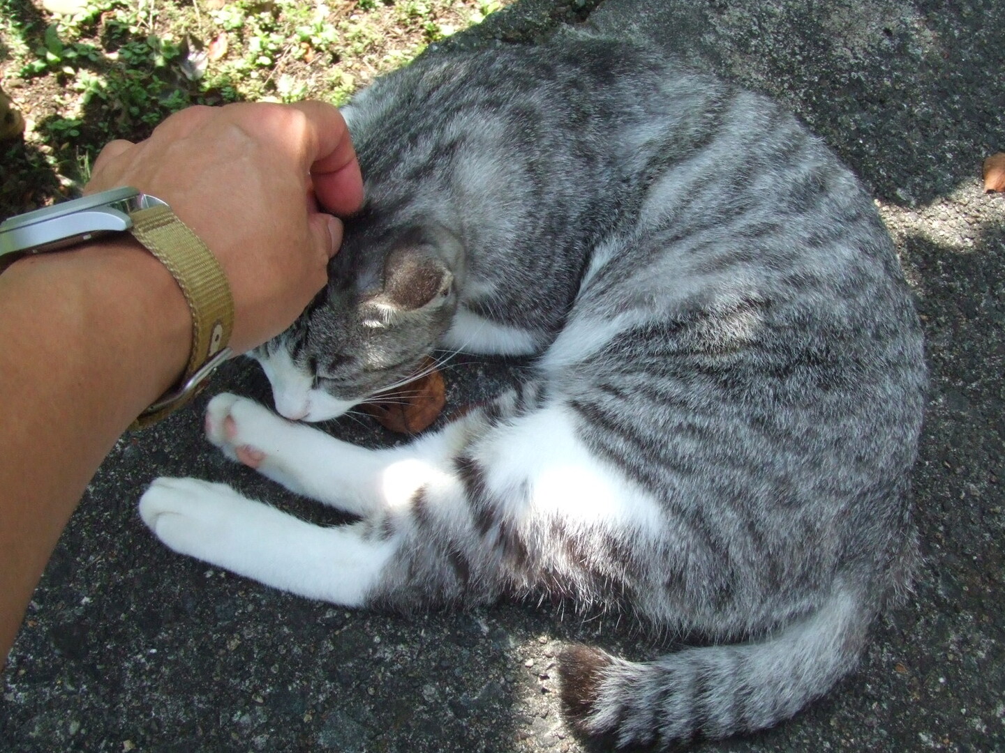 山形県 山寺 たくさん歩きたい人向けコース ぽんすけぽんさんの山形市の活動日記 Yamap ヤマップ