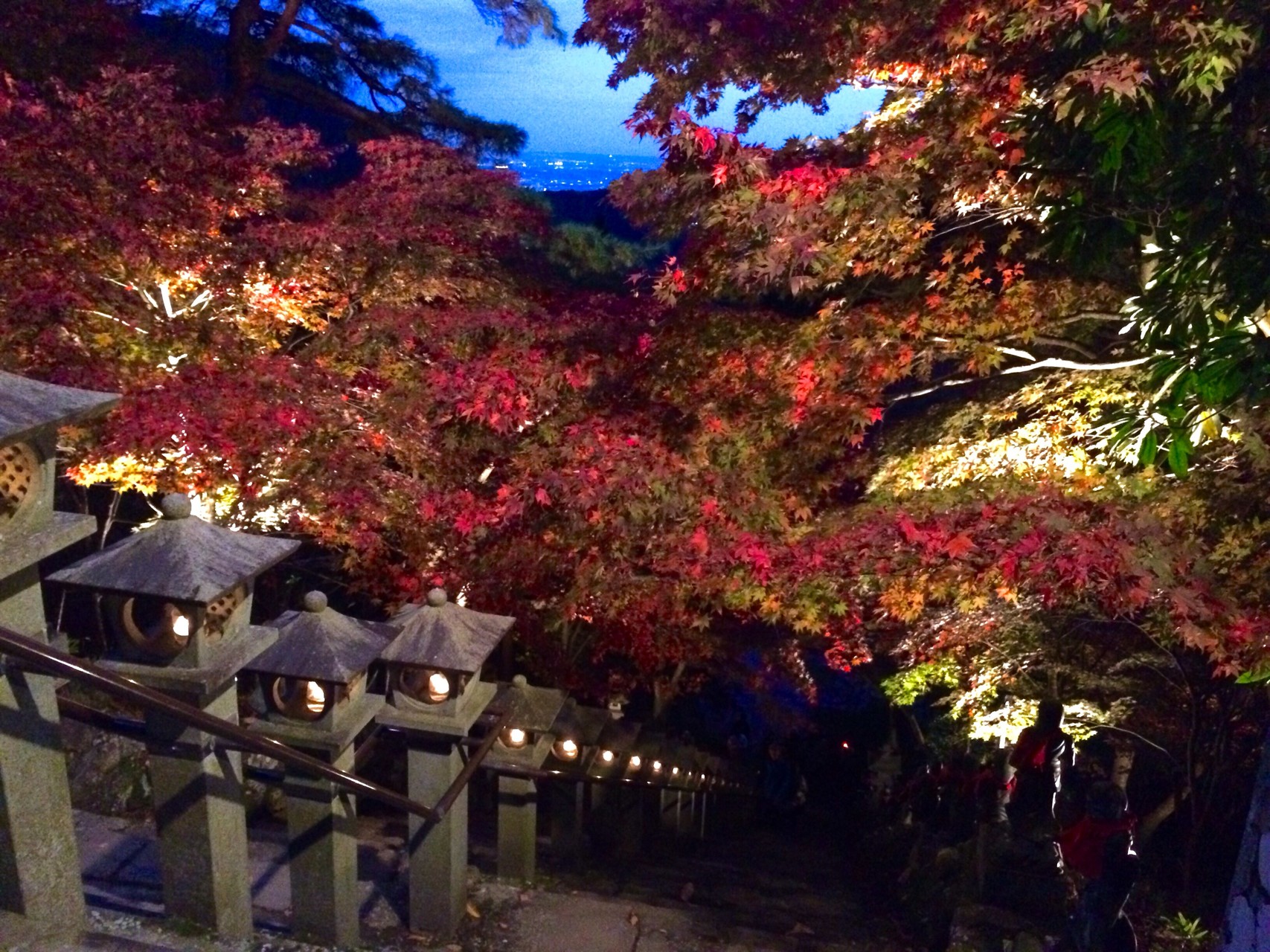 日帰り丹沢大山 紅葉ライトアップ ひほむさんの大山の活動日記 Yamap ヤマップ