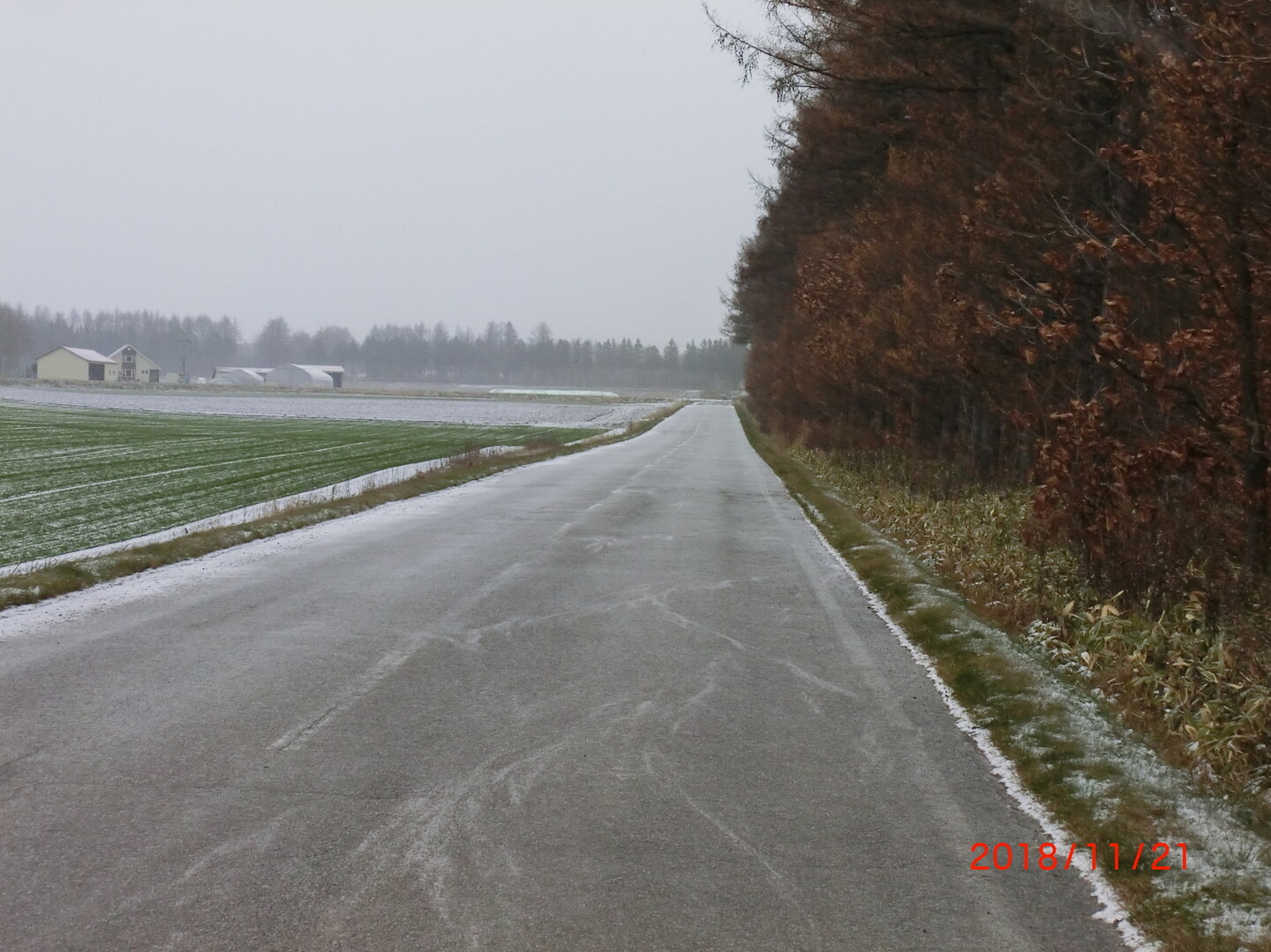 白雲山 18 11 21 Miyaさんの白雲山の活動日記 Yamap ヤマップ