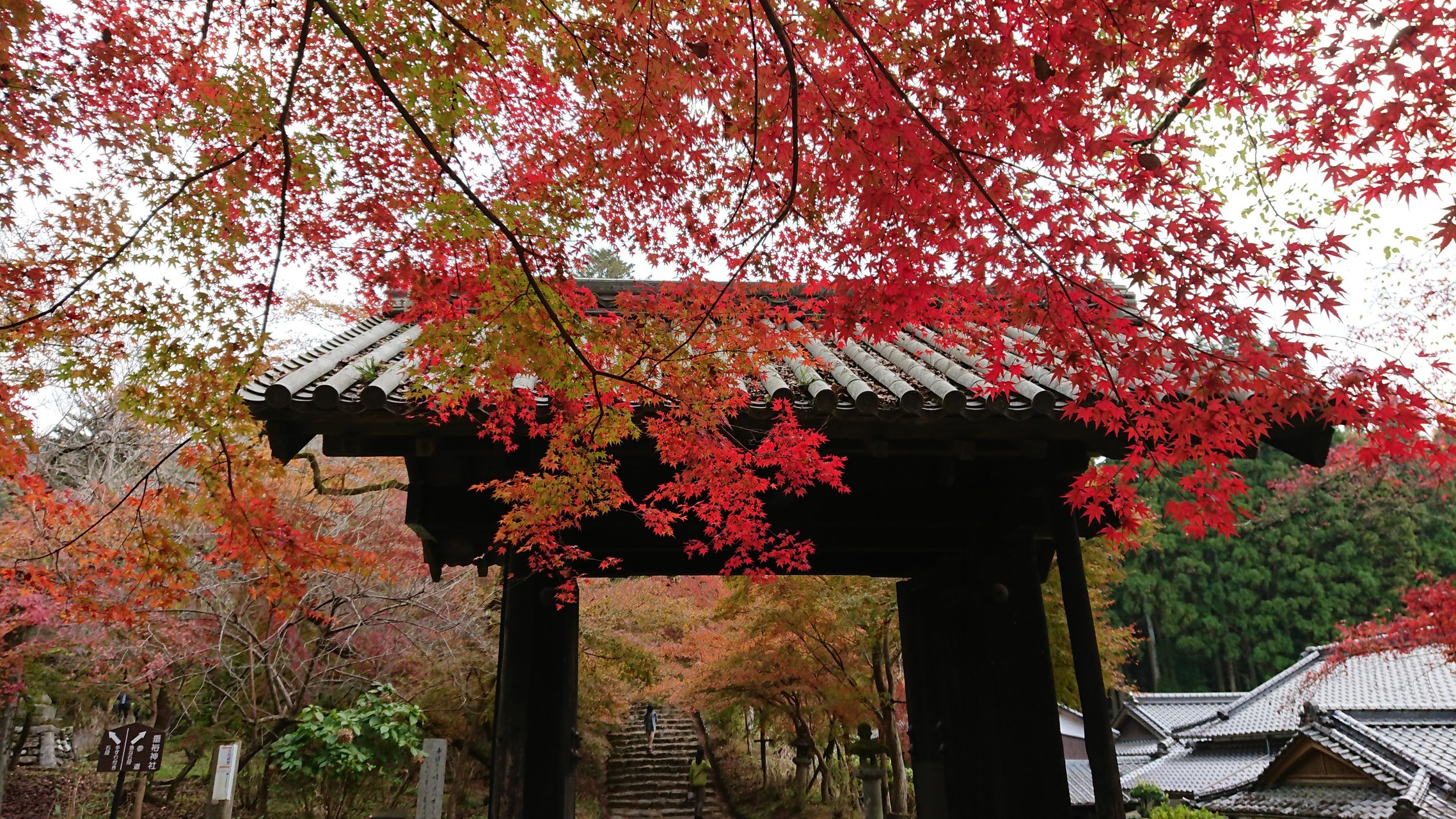 古処山 秋月城跡 山岳師さんの古処山 屏山 馬見山 江川岳の活動データ Yamap ヤマップ