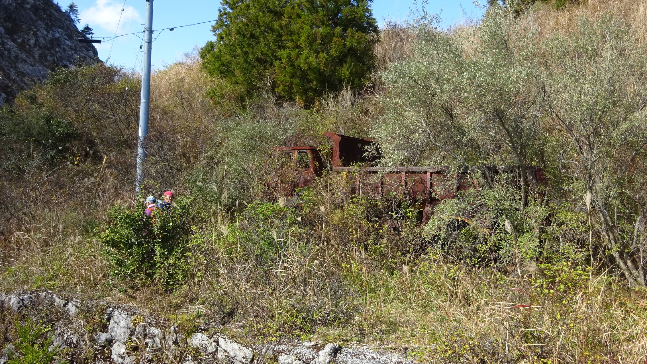 工石山 三辻山 幻のシカ 発見 おじょもさんの工石山の活動日記 Yamap ヤマップ