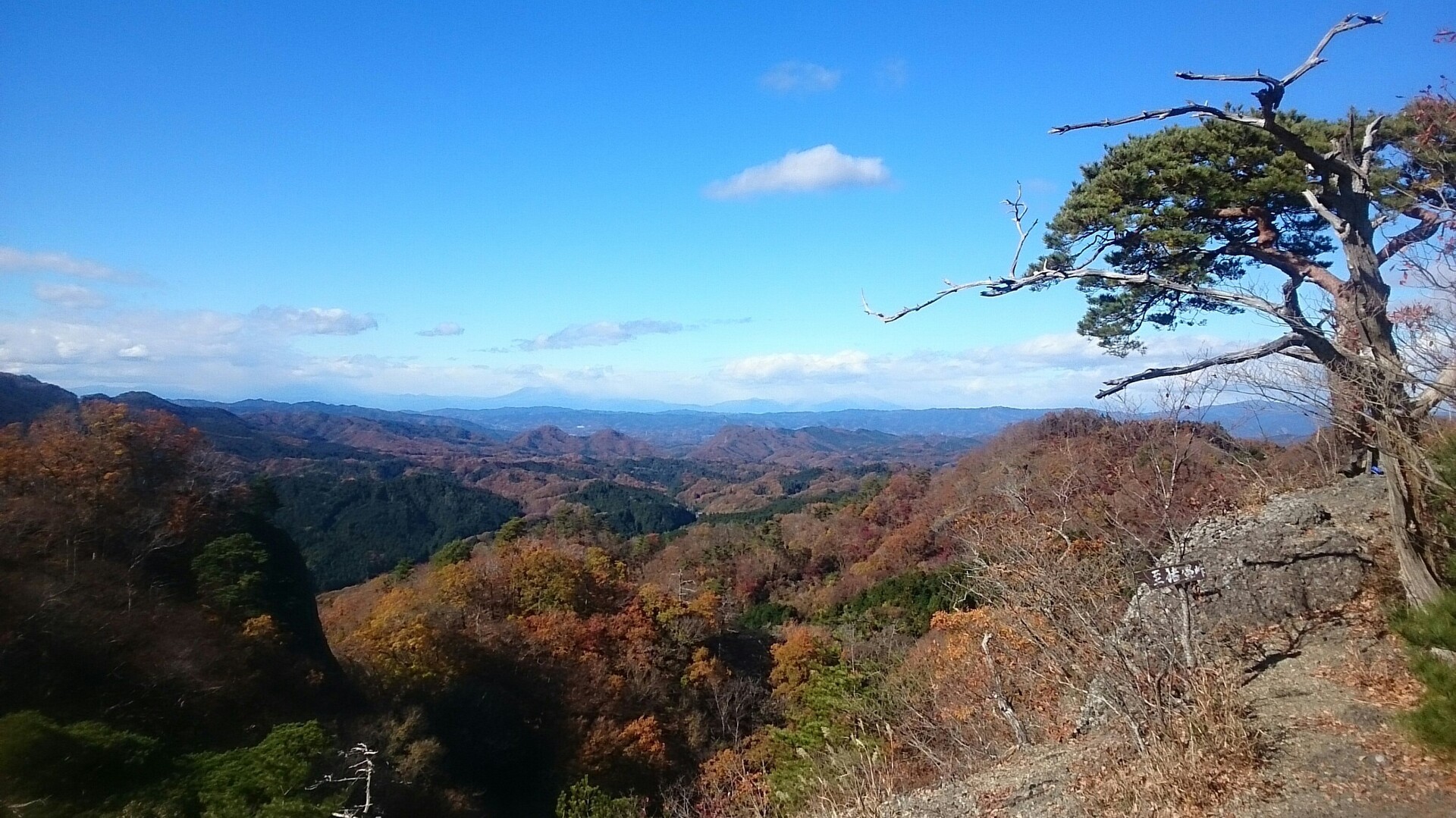 初の鍋足山 / miyu7さんの鍋足山の活動データ YAMAP / ヤマップ