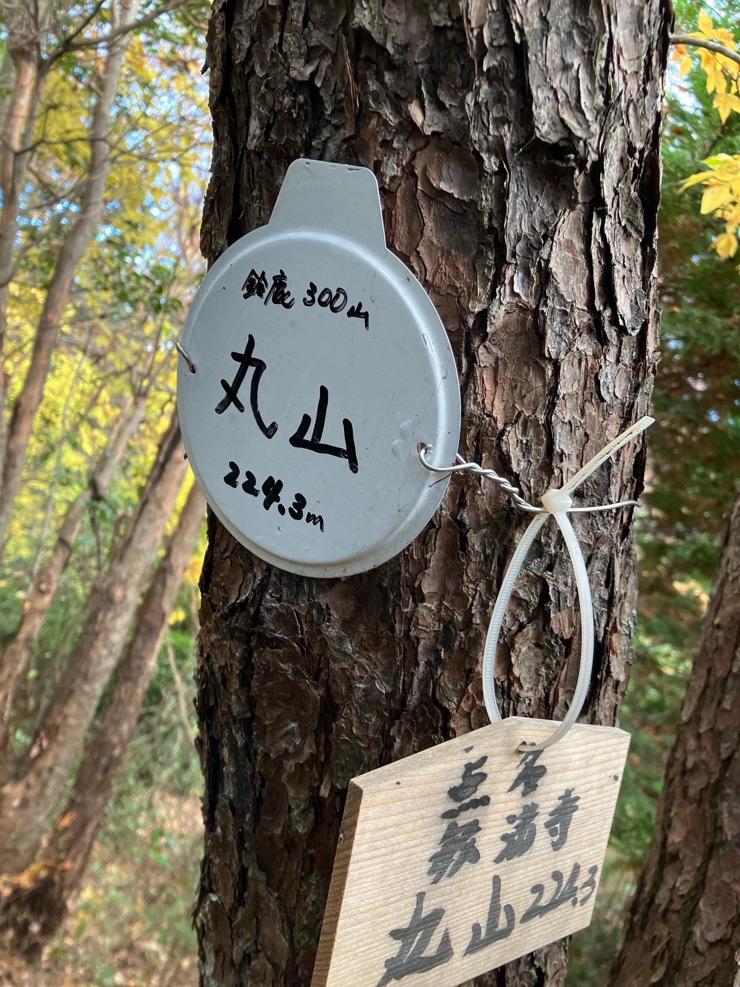 丸山 / ゆうさんの八ツ尾山・高取山・正楽寺山の活動データ YAMAP / ヤマップ