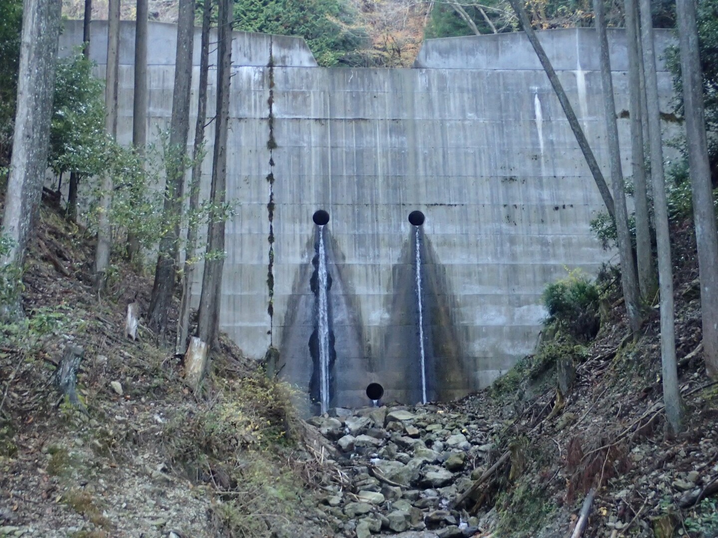 水ケ峠から東温市まで 27kmロングトレイル 四国遍路その15の写真9枚目 号泣 右の方が涙腺が緩いらしい 流涎 Yamap ヤマップ