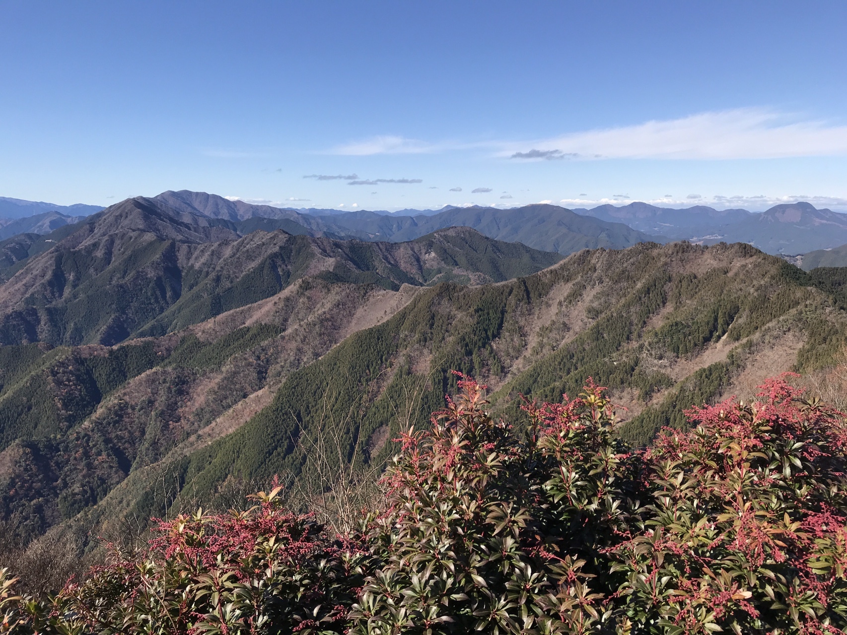 快晴の局ヶ岳 あれは富士山 ですね モリジイさんの局ヶ岳の活動データ Yamap ヤマップ
