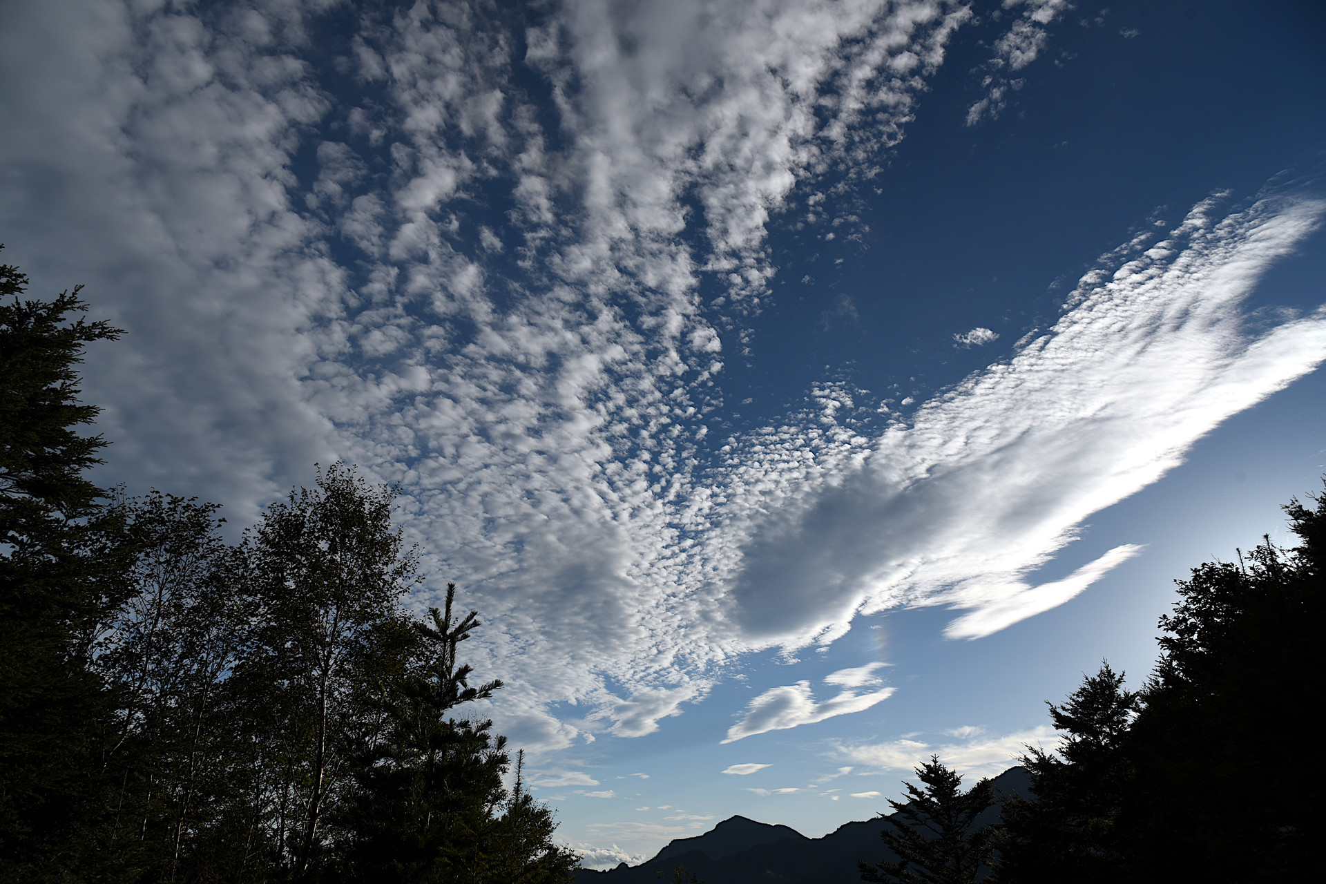 大無間山 秋の空がきれいでした。本当に。
天候不順のため、青空は久しぶりです。