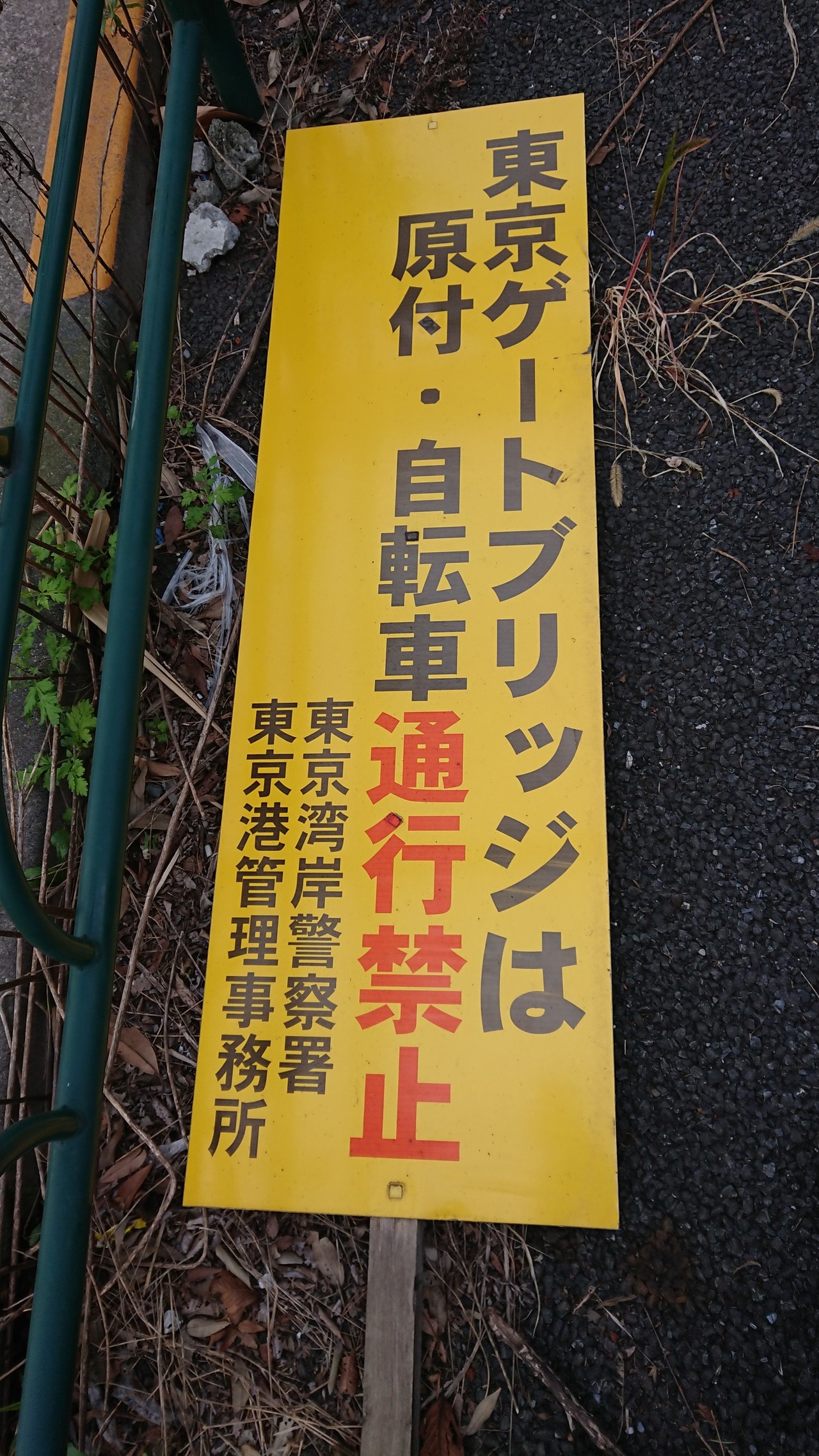 東京湾岸3橋周回ー地元江東区で筋トレ よしりんですさんの東京都23区 中央エリアの活動日記 Yamap ヤマップ