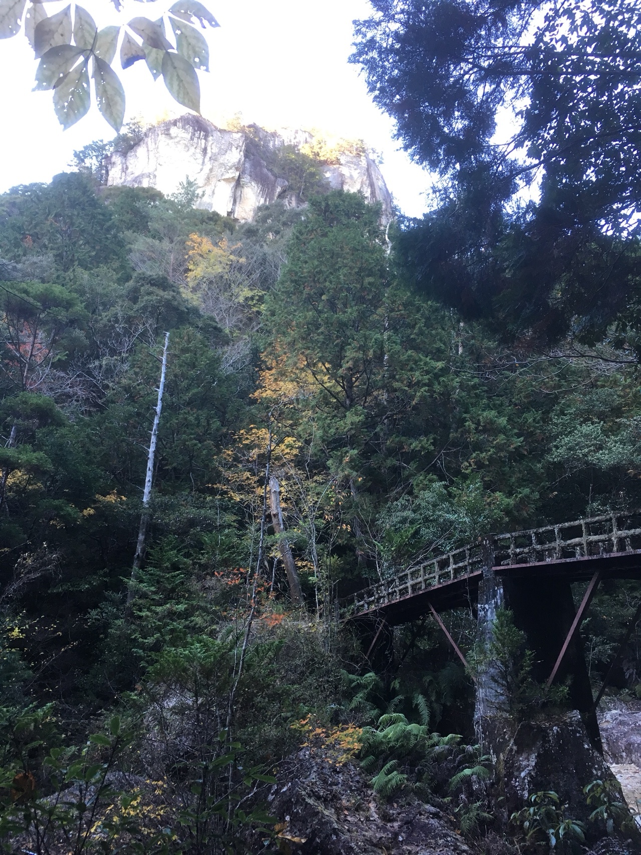 鳳来峡 明神山 乳岩ハイキング いっくーさんの鞍掛山 愛知県 鳳来寺山 岩古谷山の活動データ Yamap ヤマップ