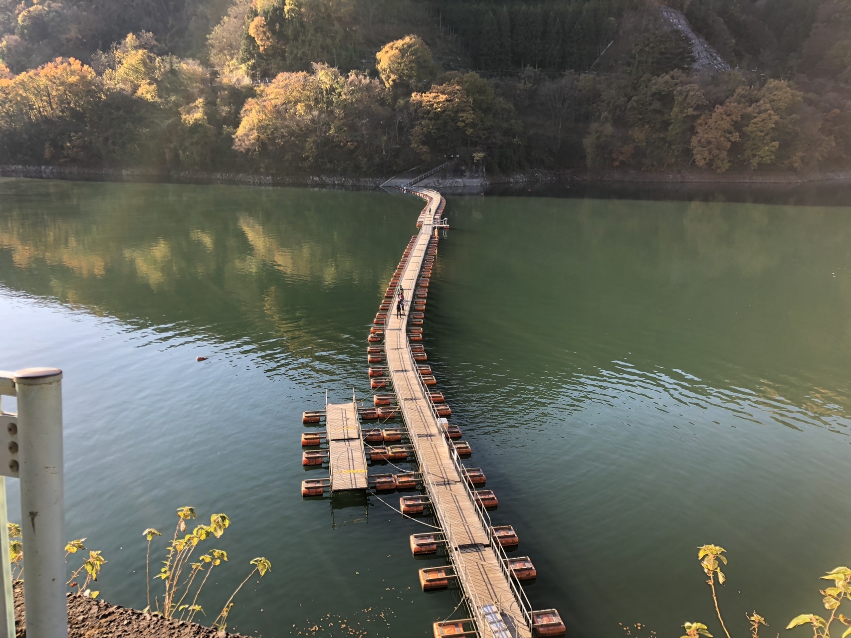 浮き橋の向こう側へ イヨ山 ヌカサス山 三頭山 よむもんさんの三頭山 東京都 槇寄山 土俵岳の活動日記 Yamap ヤマップ
