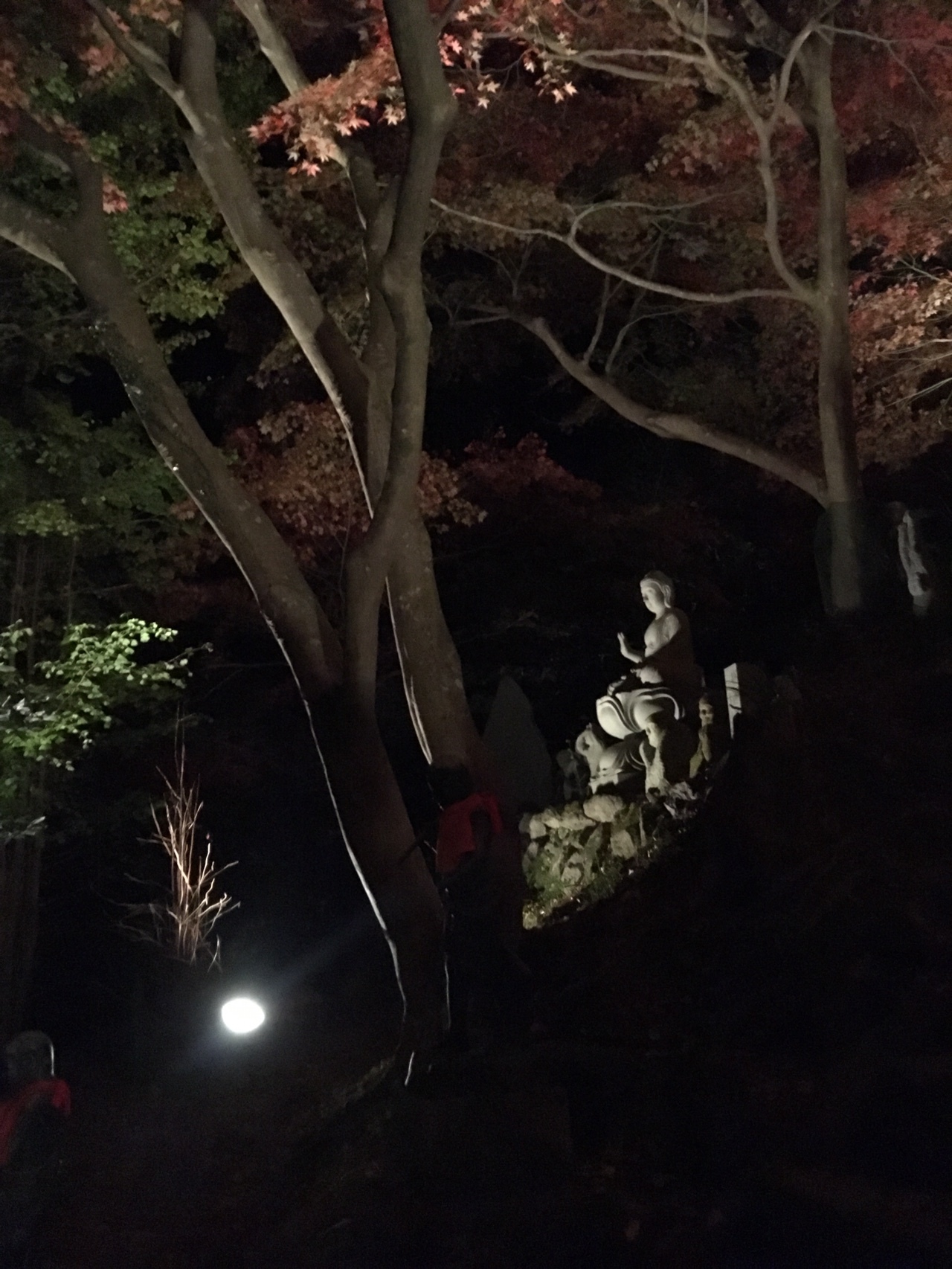 大山寺の紅葉ライトアップと夜景 たこさんの丹沢山の活動日記 Yamap ヤマップ