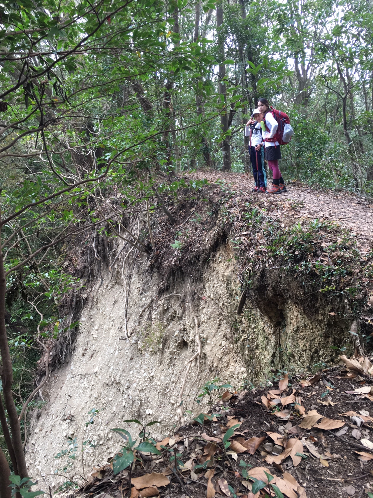 小笠山 小笠神社 六枚屏風 そして寄り道 ぞうたさんの小笠山の活動データ Yamap ヤマップ