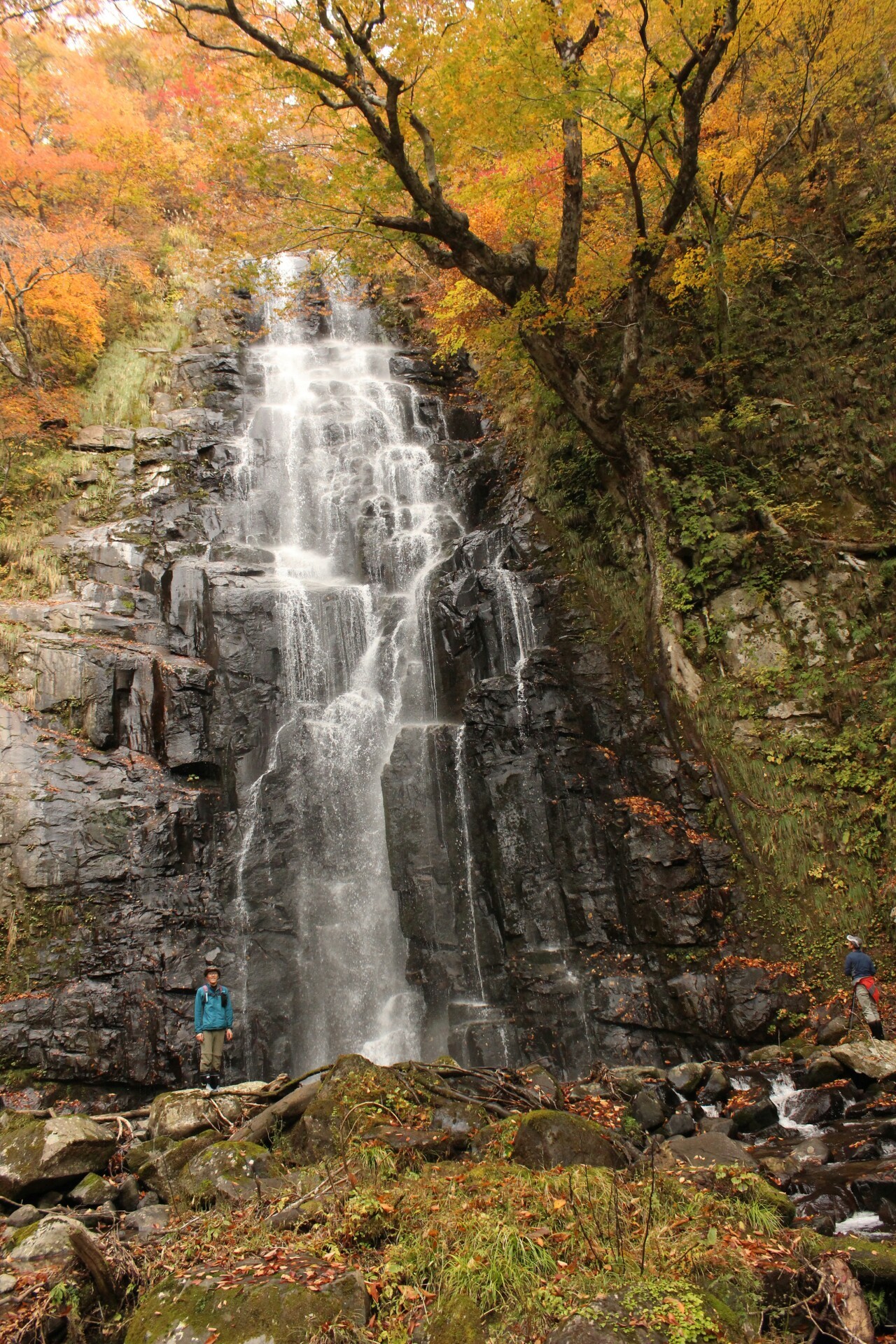 真室川町 土倉滝 チャンコセさんの甑山の活動データ Yamap ヤマップ