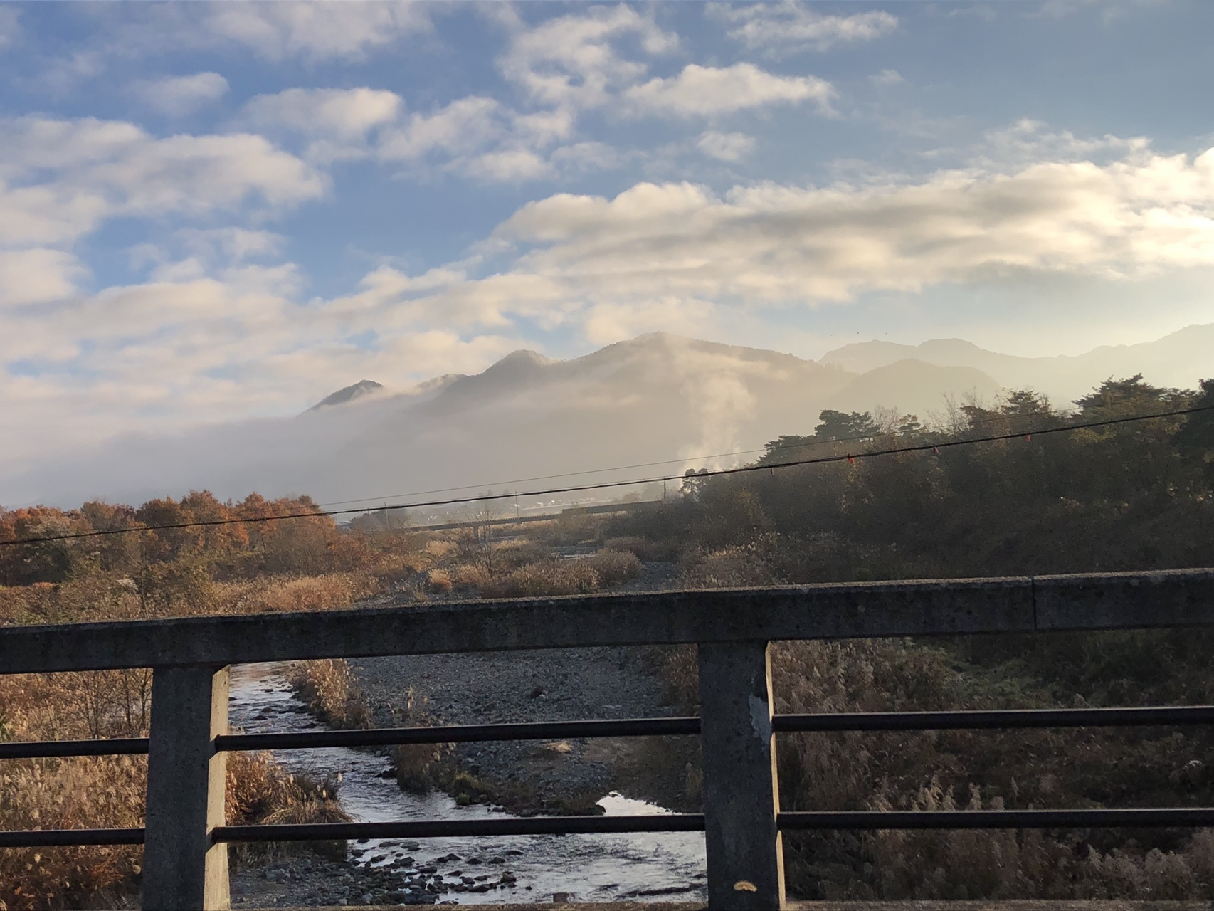 雁田山 今回は熊 に会えず たかさんの明覚山の活動データ Yamap ヤマップ