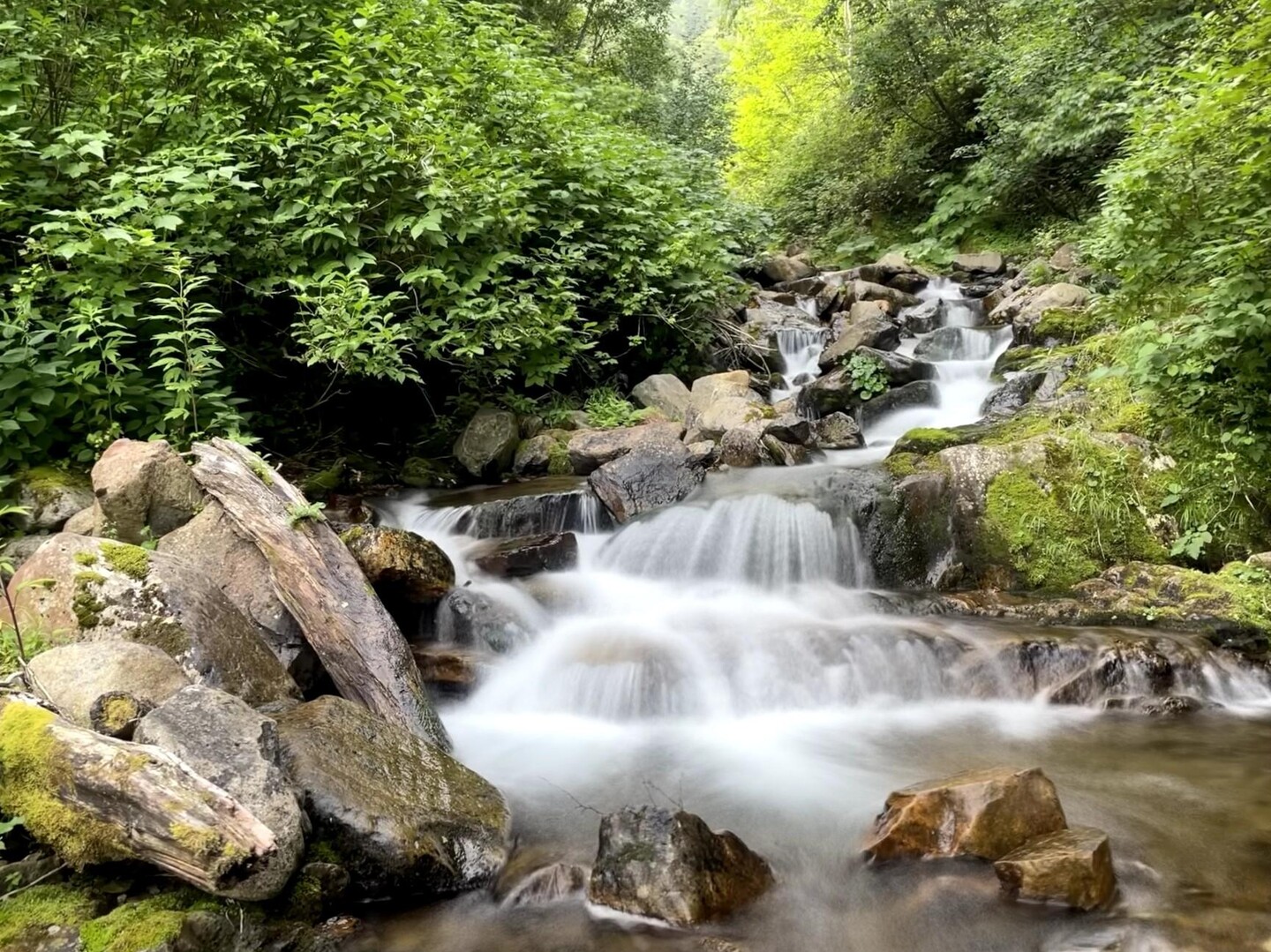 ペンケヌーシ岳三の沢遡行 リベンジ失敗💦 / ダンディーさんのペンケヌーシ岳の活動データ YAMAP / ヤマップ