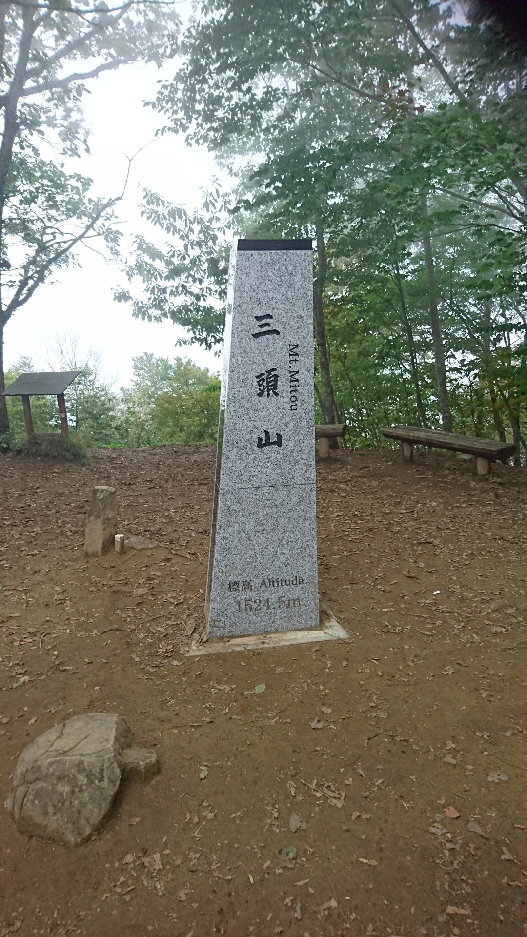 ハセツネ前半試走 つるてんさんのハセツネcup 日本山岳耐久レース 71 5kmコース の活動データ Yamap ヤマップ