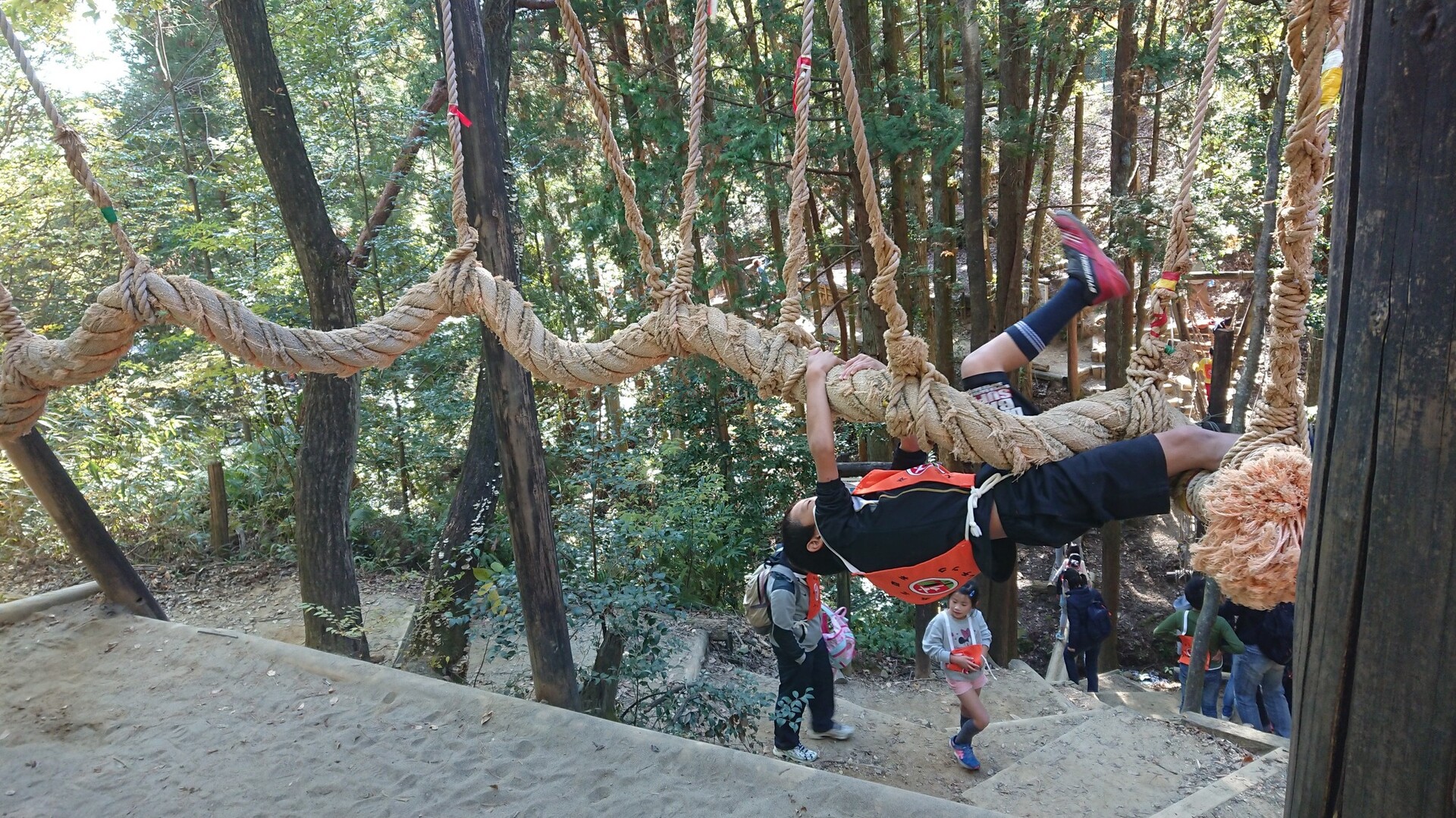 浜北森林アスレチック公園でお山のトレーニング 登山では無いです Ktomcatさんの浜松市 浜北区 の活動日記 Yamap ヤマップ