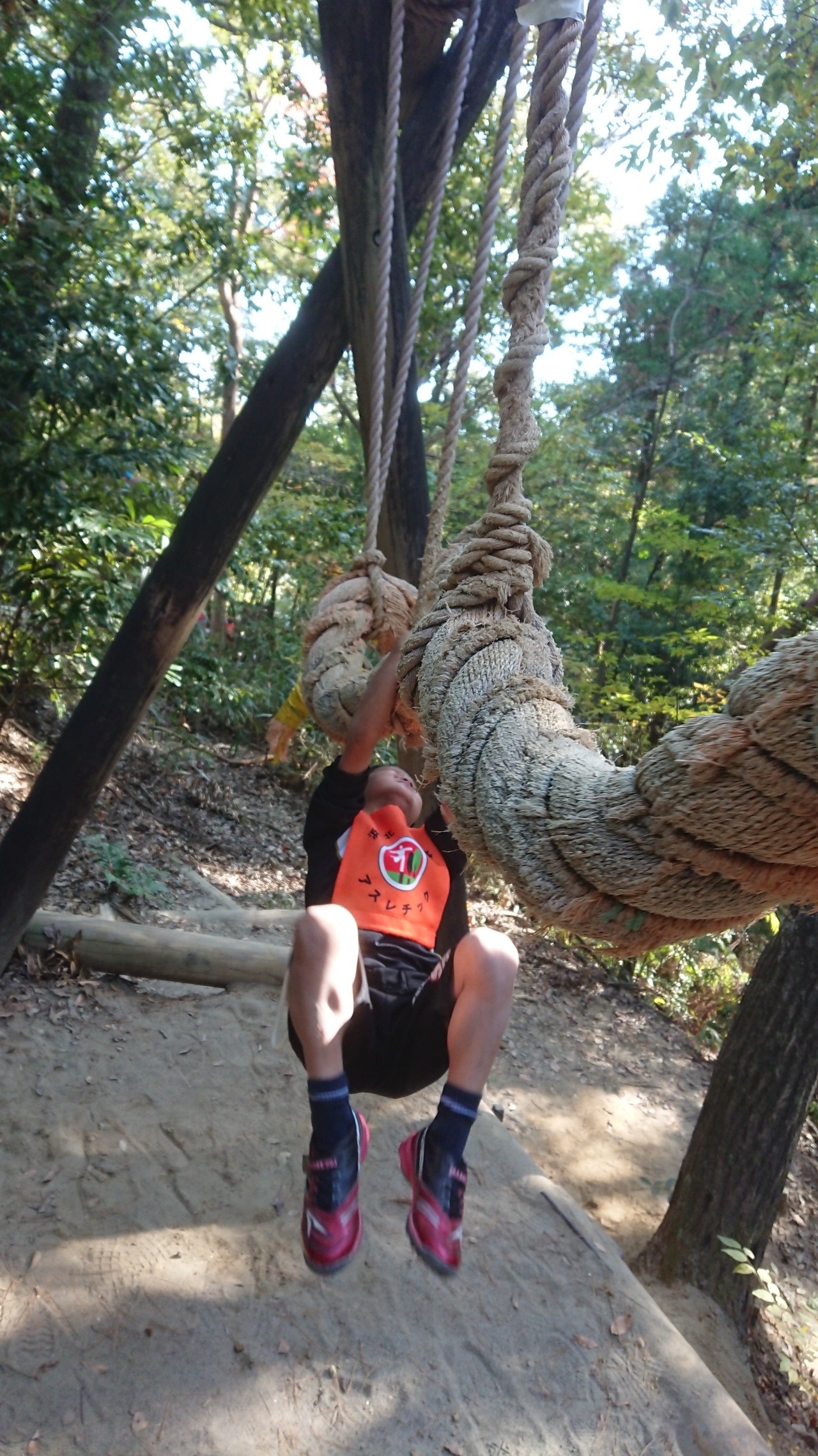 浜北森林アスレチック公園でお山のトレーニング 登山では無いです Ktomcatさんの浜松市 浜北区 の活動データ Yamap ヤマップ