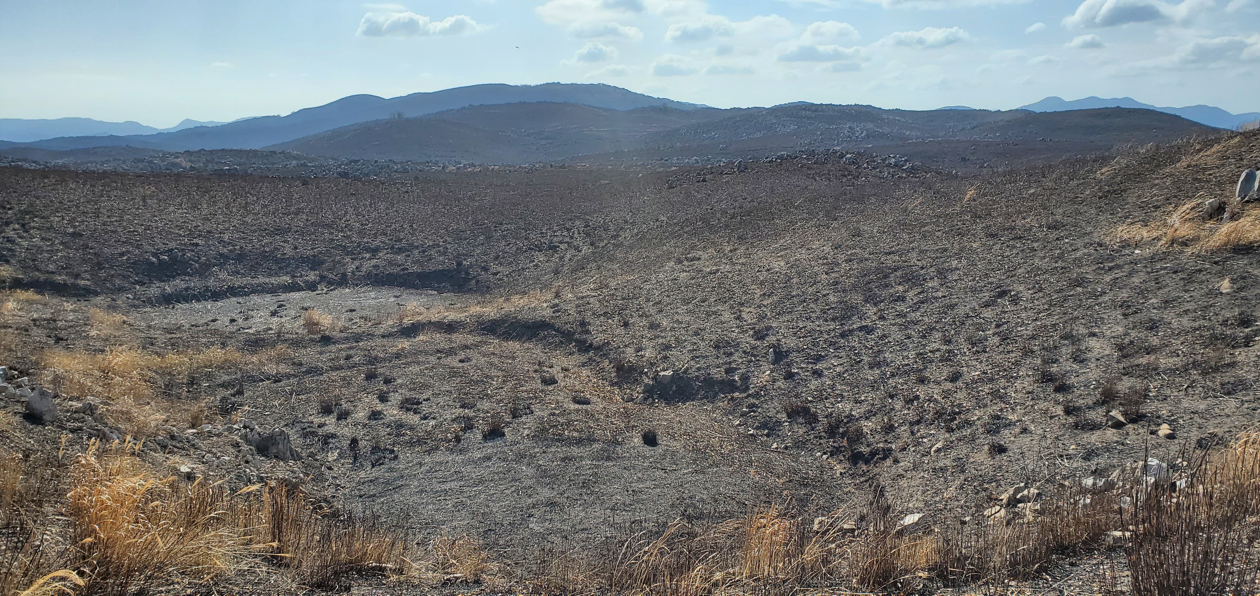 野焼き後の秋吉台を歩く グレーテルさんの秋吉台の活動データ Yamap ヤマップ
