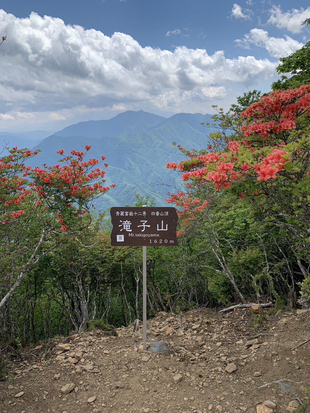 滝子山 岩場歩きと沢沿い歩き 滝子山 大谷ヶ丸 笹子雁ヶ腹摺山の写真14枚目 滝子山登頂 ツツジの花に囲まれていて綺麗 Yamap ヤマップ