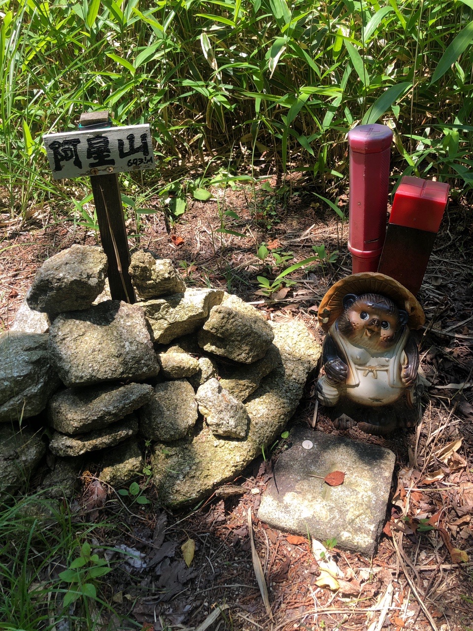 アセボ峠起点 白草山 飯道山 大納言 阿星山 ナムさんの阿星山の活動データ Yamap ヤマップ