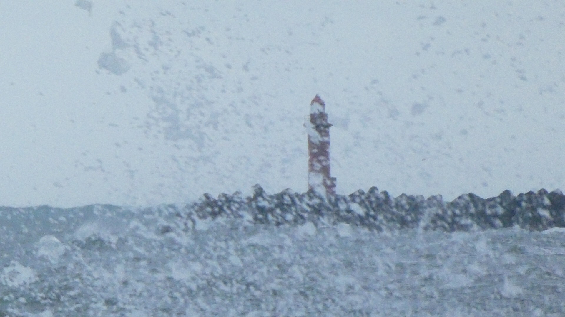 日和山 千望台 愛刀稱山 波の花が舞う日本海 と 藪漕ぎ Chibitaさんのポロシリ山の活動日記 Yamap ヤマップ