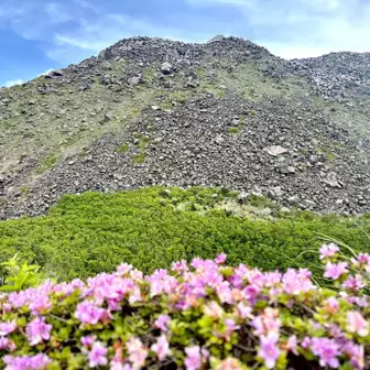 平成新山が目の前に見ることができる、立岩の峰に…⛰✨✨この辺りに咲く…