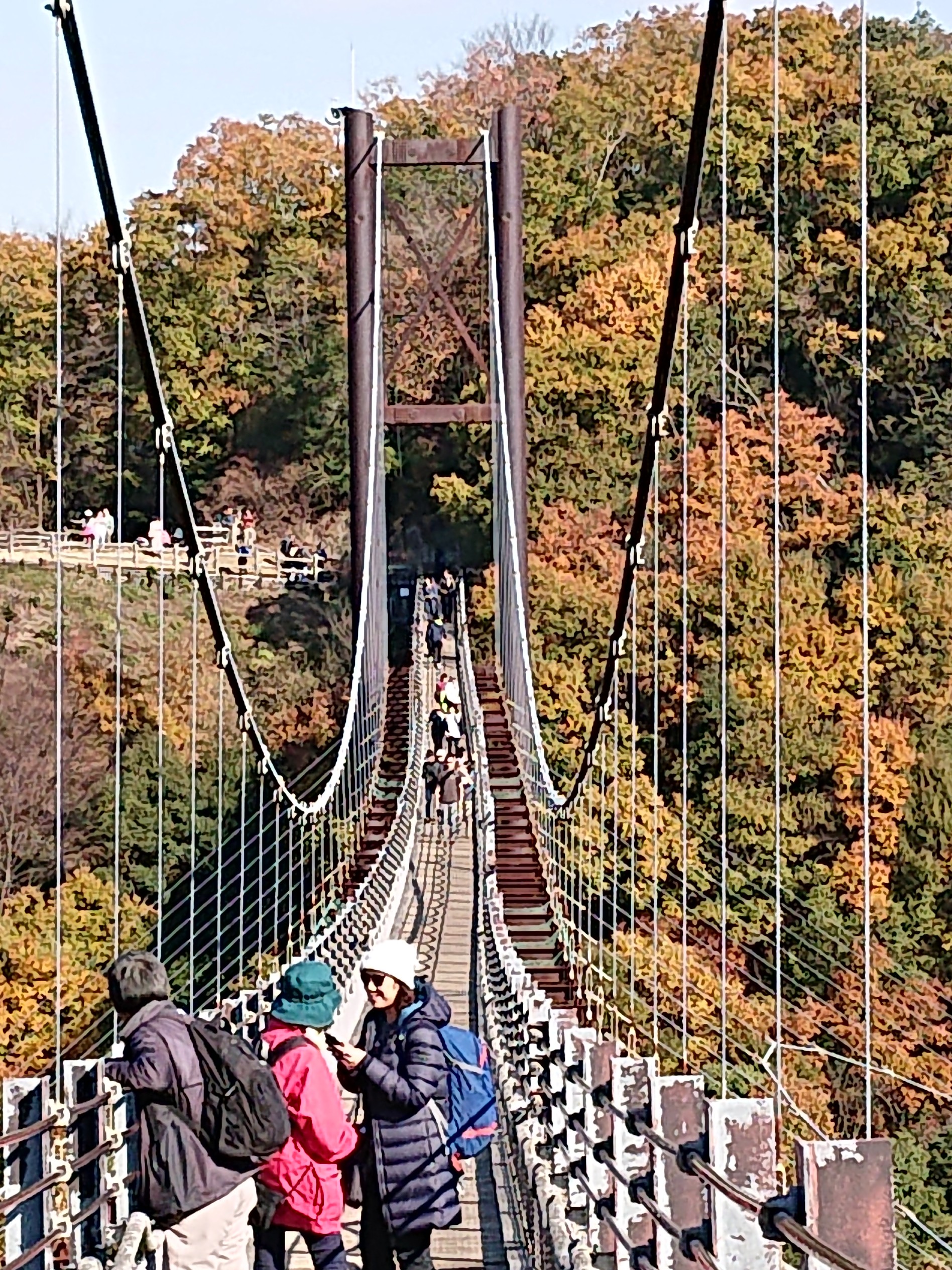 ササットほしだ むろいけ園地へ 生駒の風さんの生駒山 神津嶽 大原山の活動日記 Yamap ヤマップ
