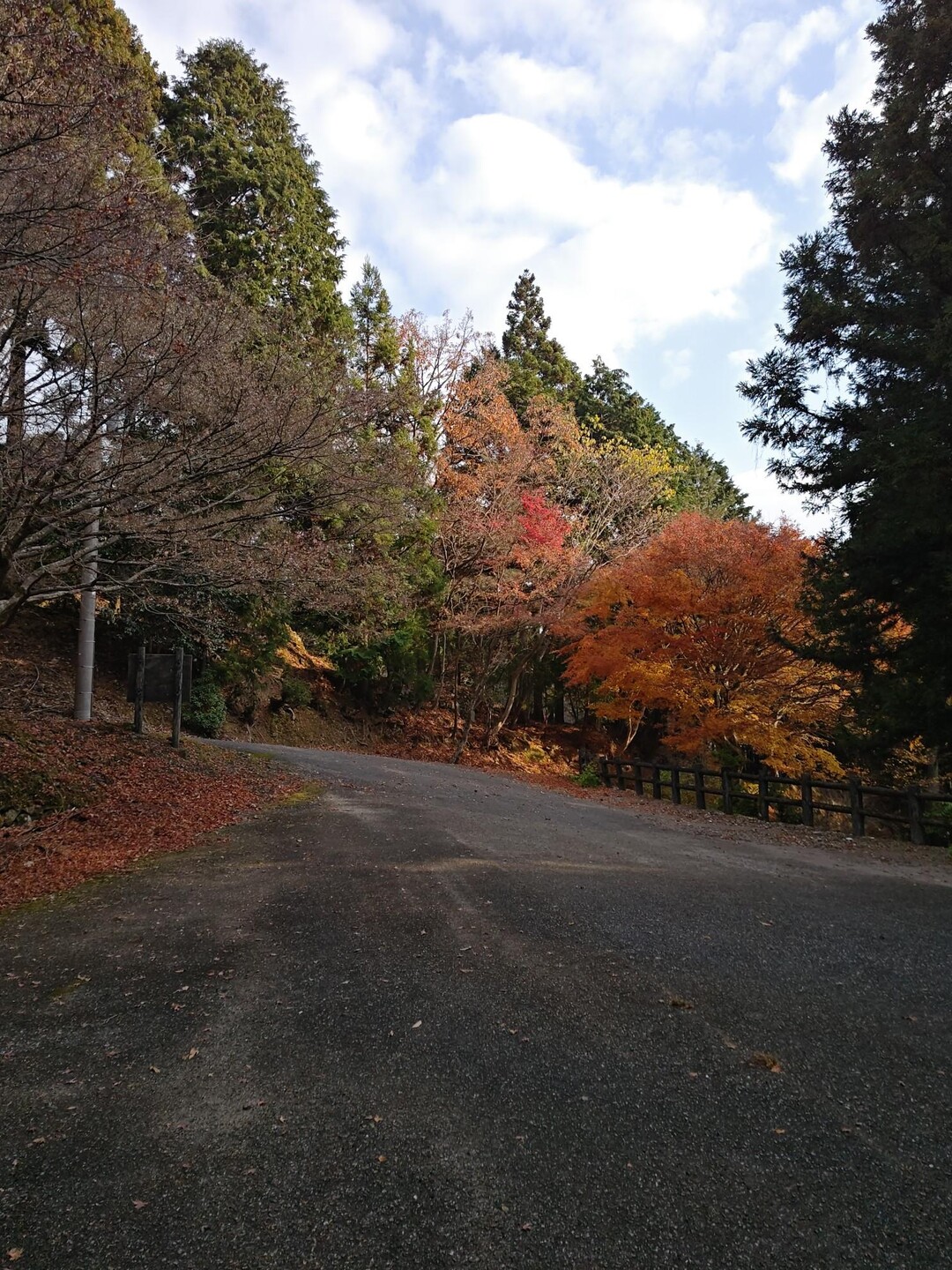 求菩提山231203131 / 67テンさんの犬ヶ岳・求菩提山の活動データ YAMAP / ヤマップ