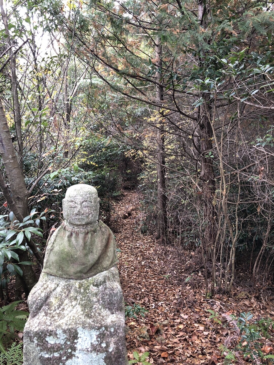 要害岳 山口市徳地 Kotoさんの白石山の活動日記 Yamap ヤマップ
