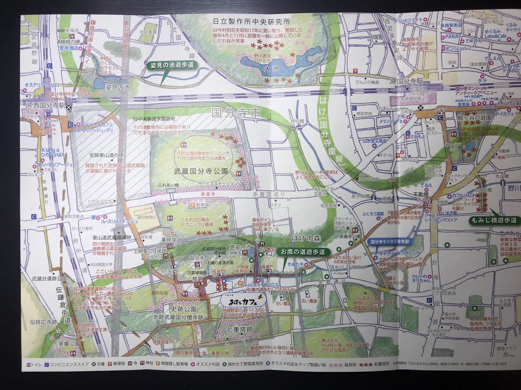 国分寺崖線 東山道武蔵路 武蔵国分寺跡 武蔵国府跡の探索 Yamashimizuさんの国分寺市の活動日記 Yamap ヤマップ