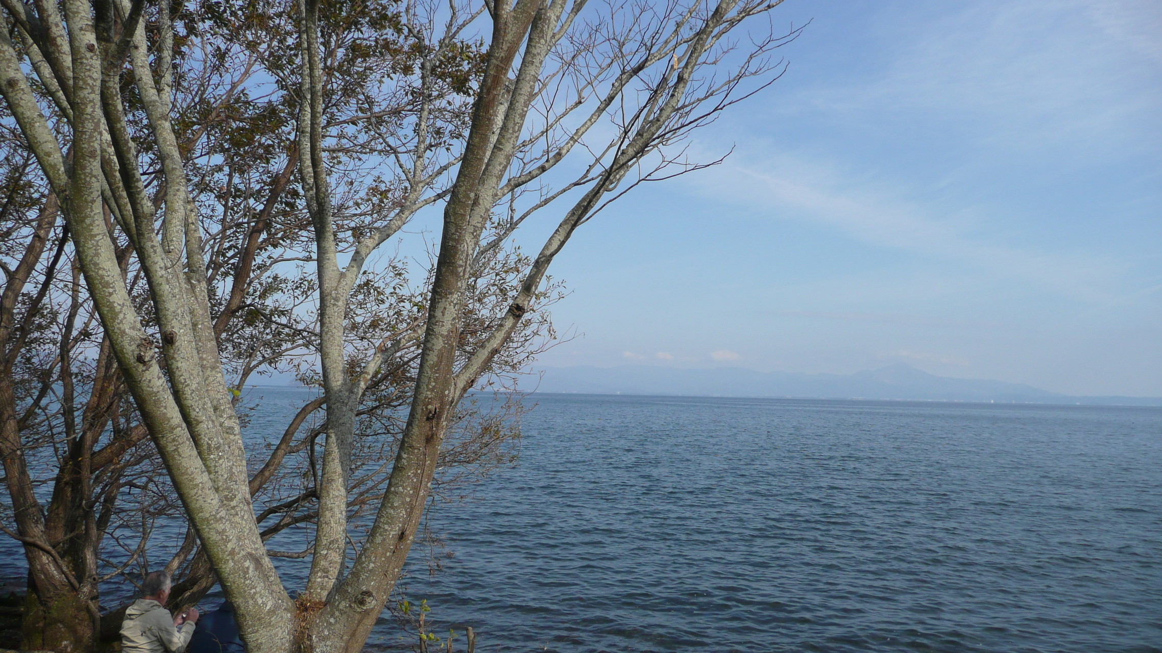 102 琵琶湖一周ウォーキング 近江今津駅 近江高島駅コース ブリッジストーンさんの琵琶湖 北側の活動日記 Yamap ヤマップ