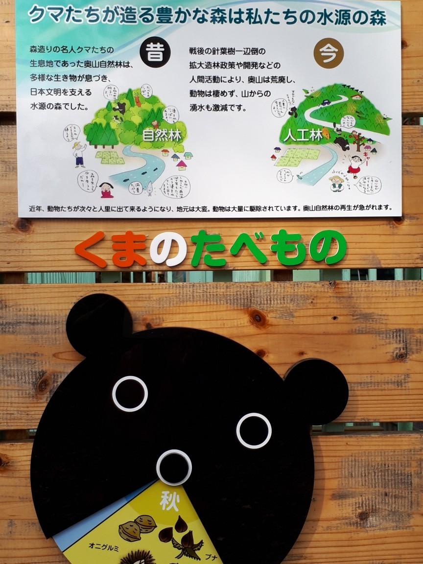 熊のとよちゃんに逢いに高代寺へ ひまわり さんの能勢妙見山 歌垣山 天台山の活動日記 Yamap ヤマップ