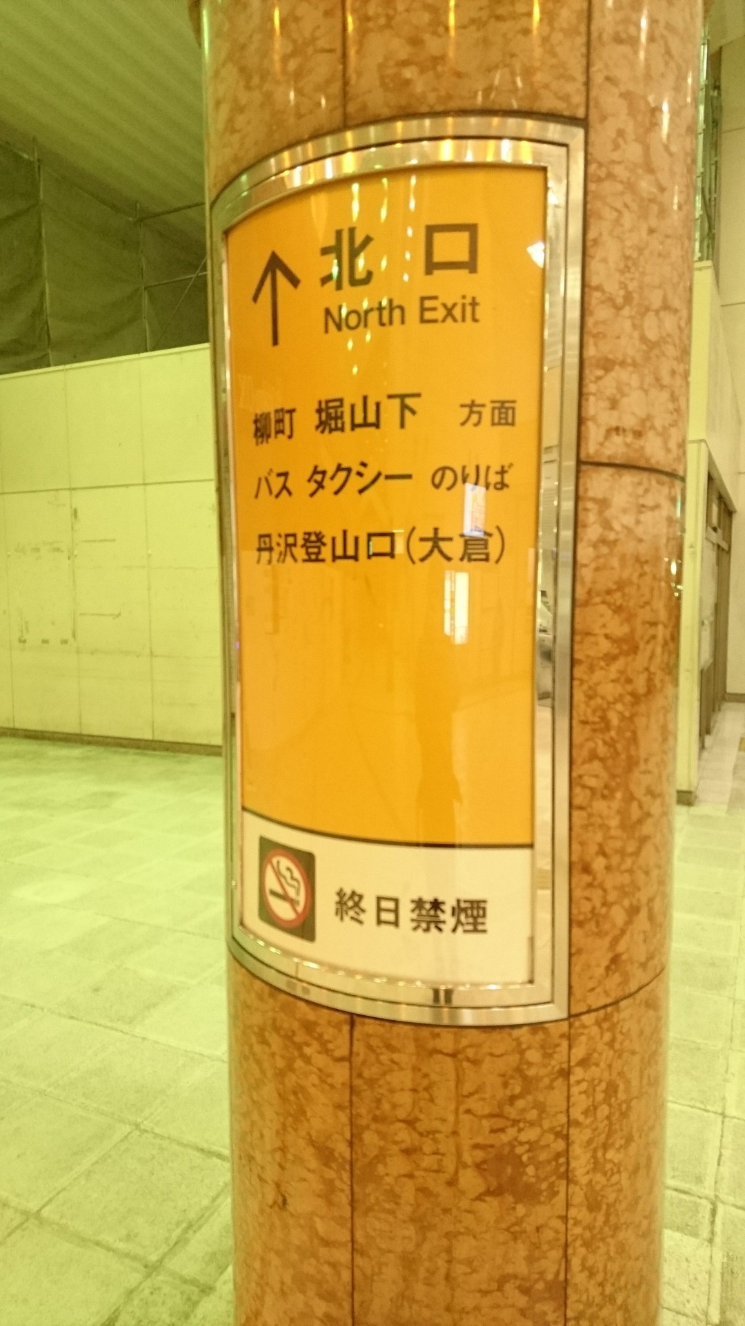丹沢山ソロ バカ尾根の階段が辛い 16 100 とに 行動食4号さんの丹沢山の活動日記 Yamap ヤマップ