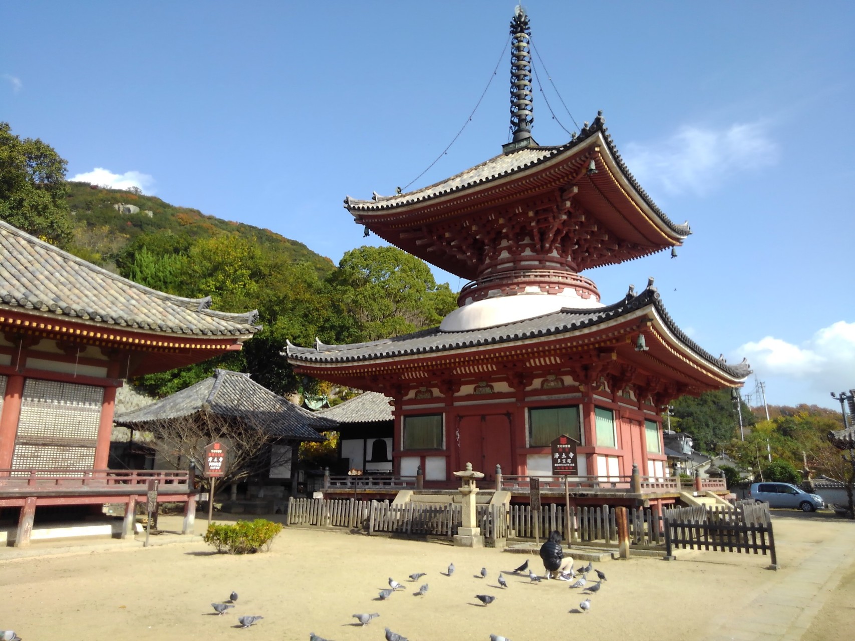 浄土寺山 チビと鎖と岩遊び かずかずさんの尾道市の活動データ Yamap ヤマップ