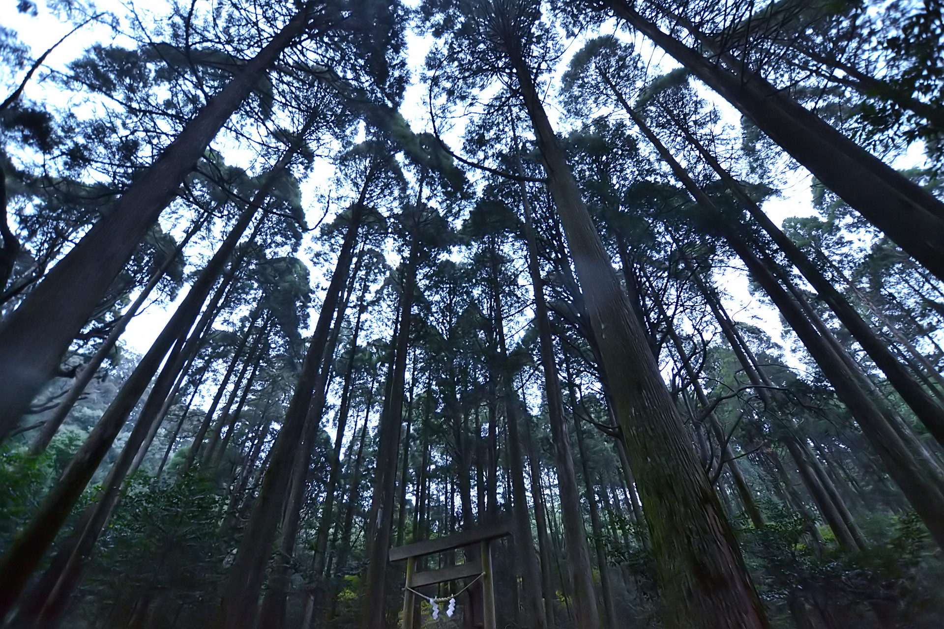 霧島六社権現パワースポット巡り 亀井タカシさんの霧島山 韓国岳 高千穂峰 夷守岳 烏帽子岳の活動データ Yamap ヤマップ