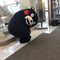 ぱるか