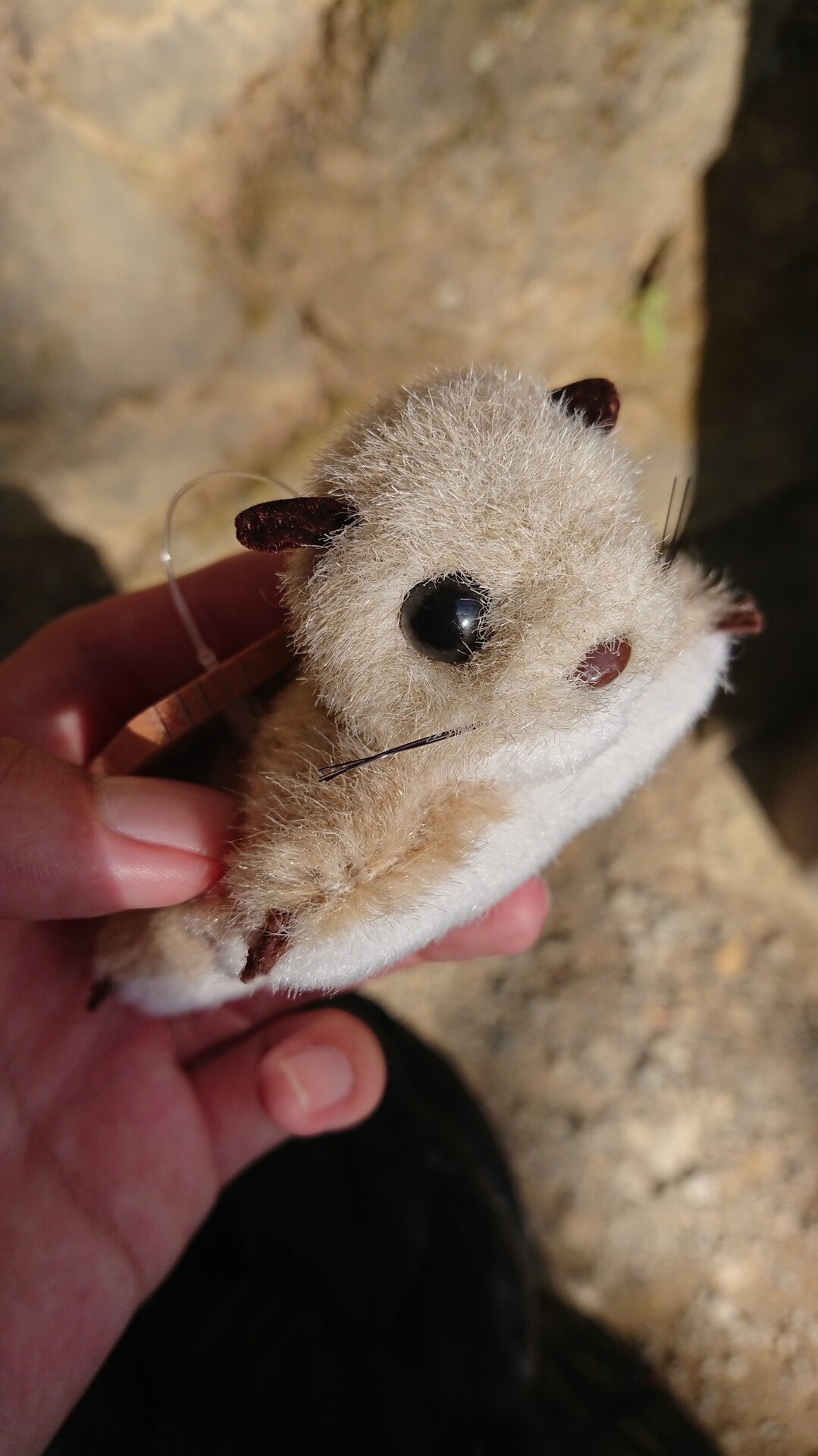 高尾山 ありすんさんの高尾山 陣馬山 景信山の活動日記 Yamap ヤマップ