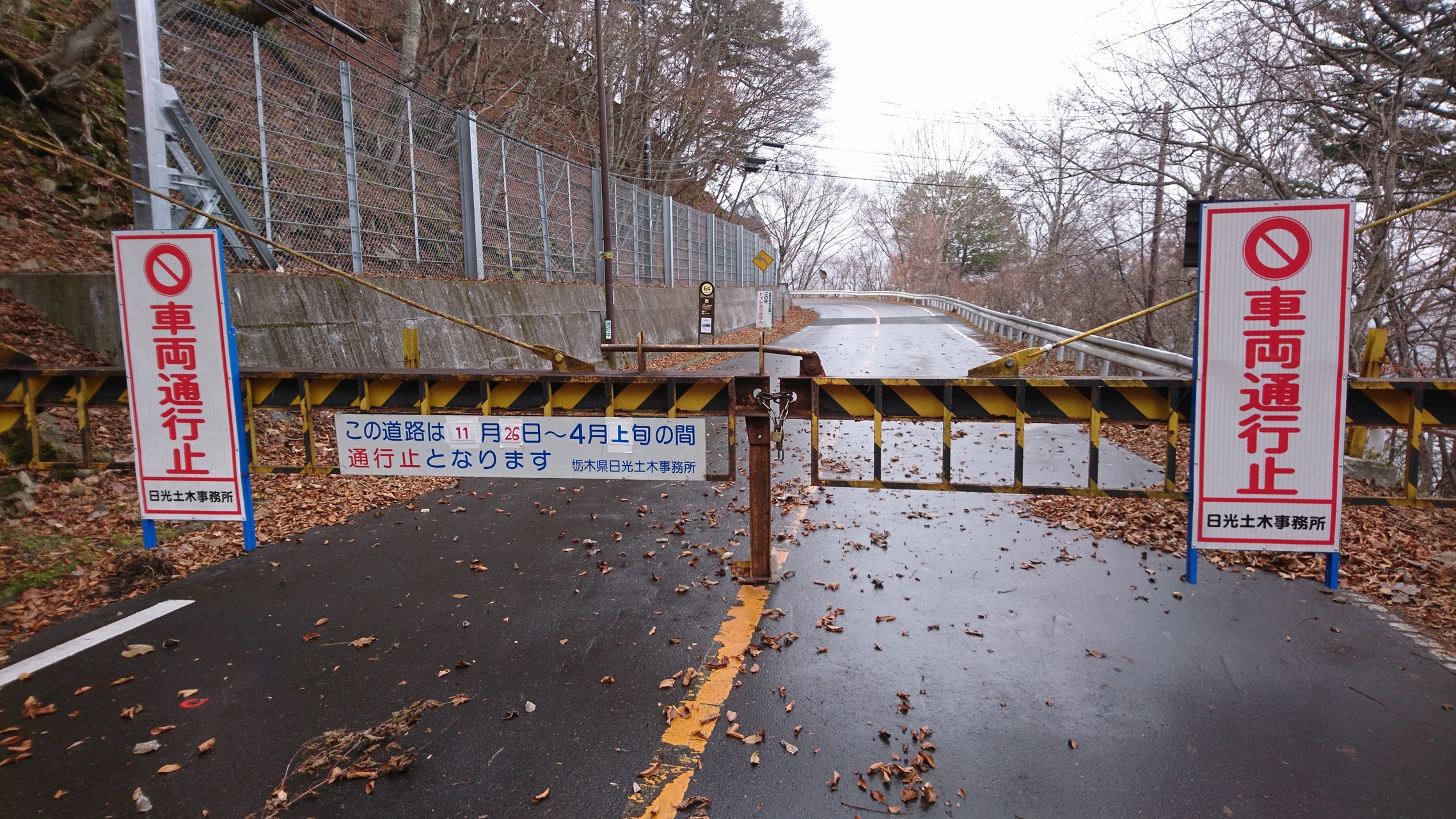 半月山 初冬 ユルポさんの社山 半月山の活動日記 Yamap ヤマップ