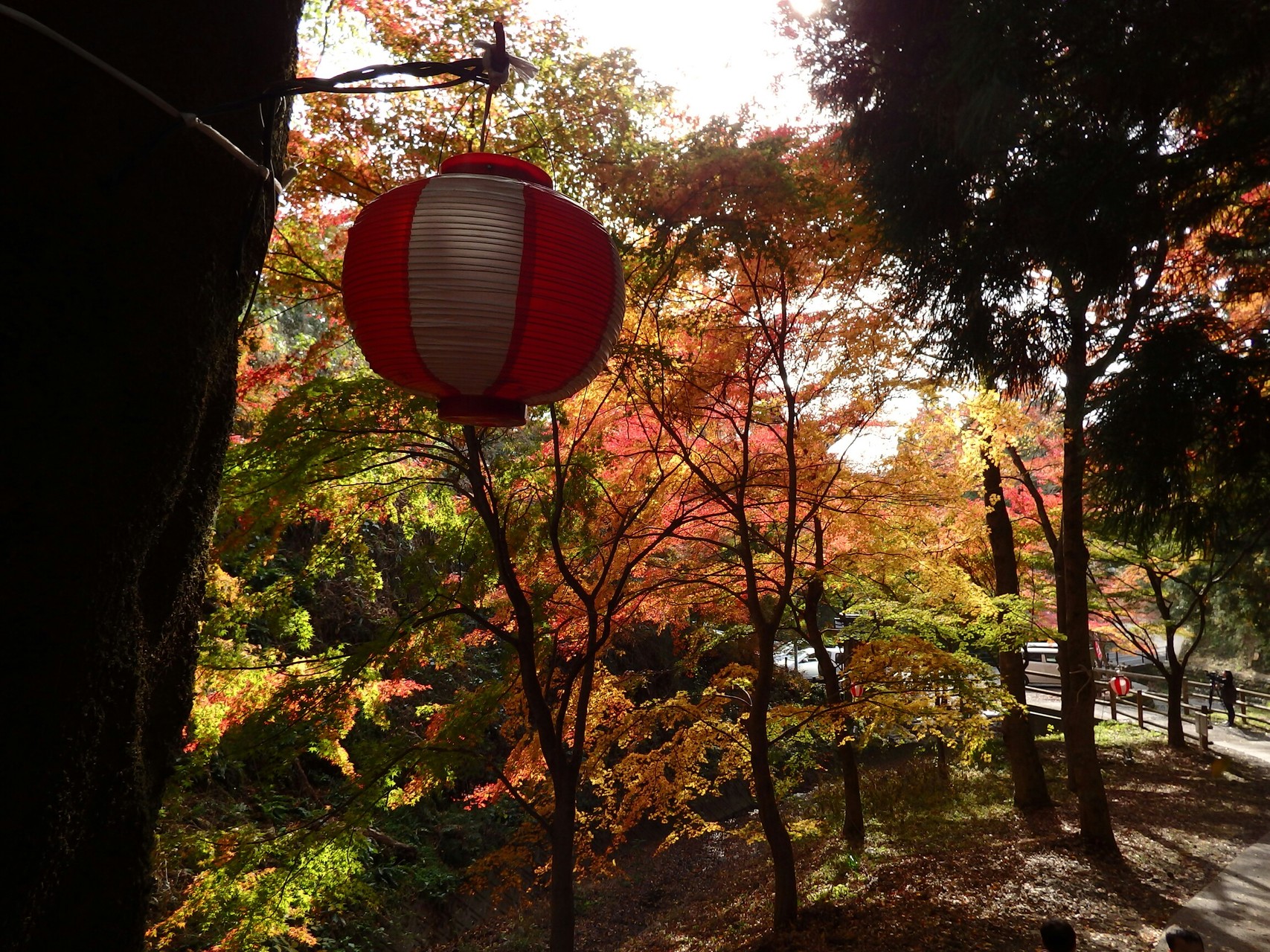 椿大社神社から宮妻峡のもみじ谷へ てるちゃんさんの入道ヶ岳 鎌ヶ岳 仙ヶ岳の活動データ Yamap ヤマップ